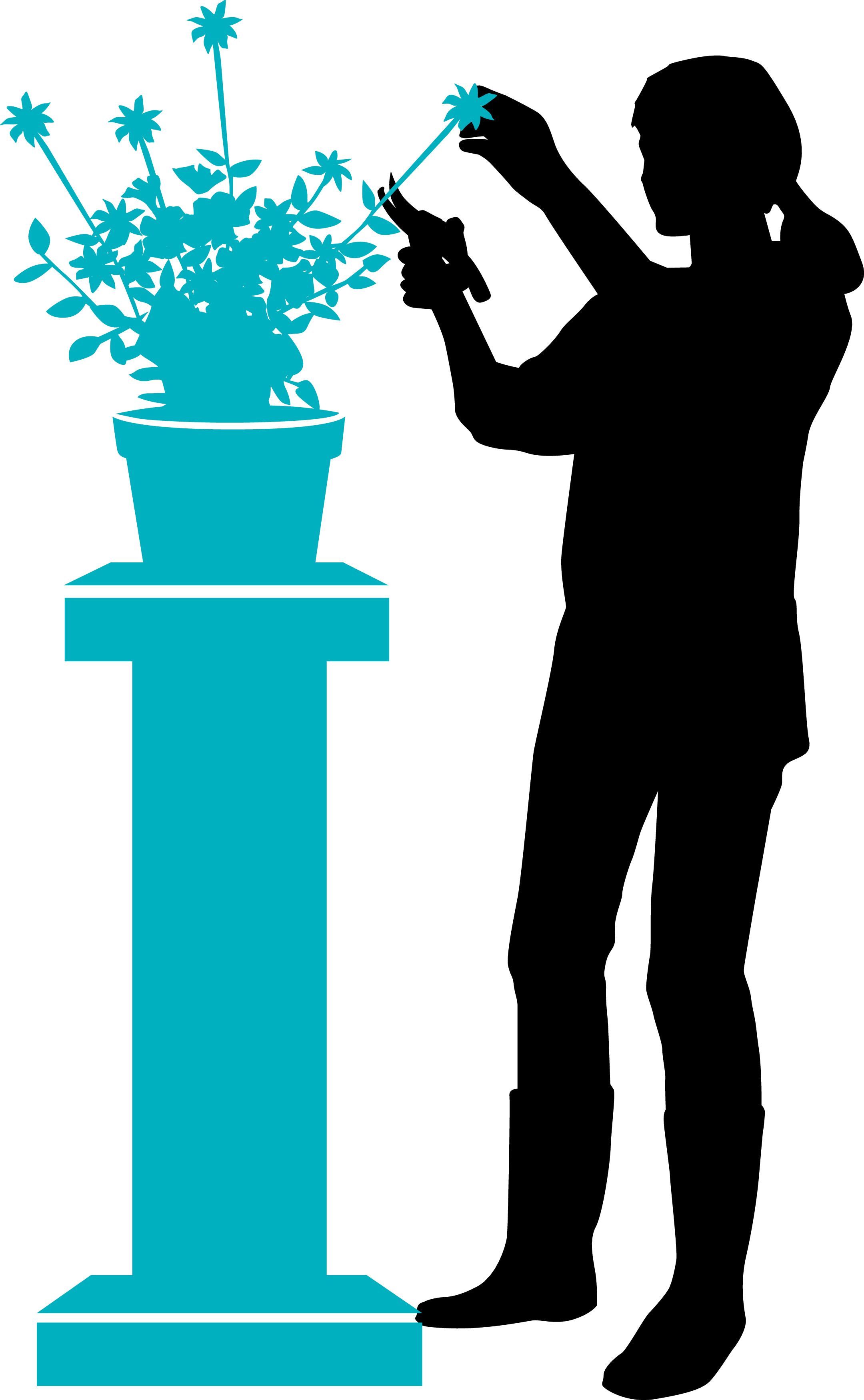 Tijeras de Jardín B/S-M