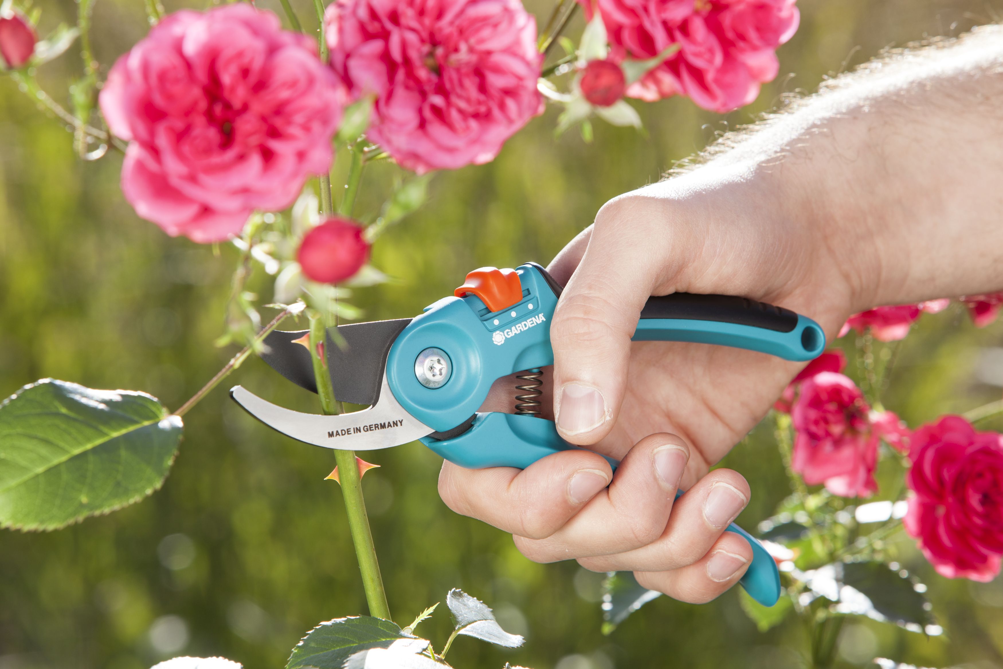 Tijeras de Jardín B/S-M