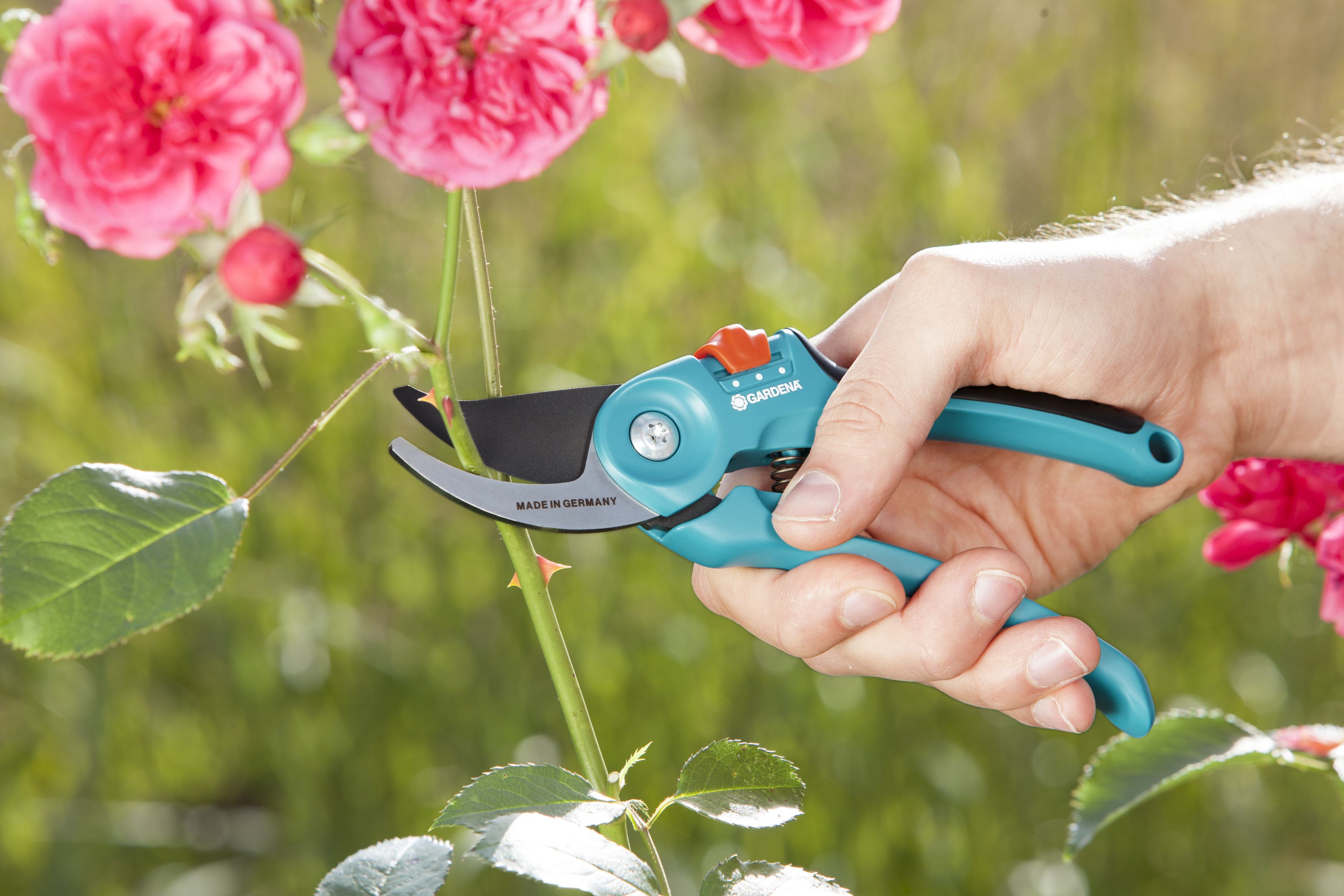 Tijeras de Jardín B/S-M