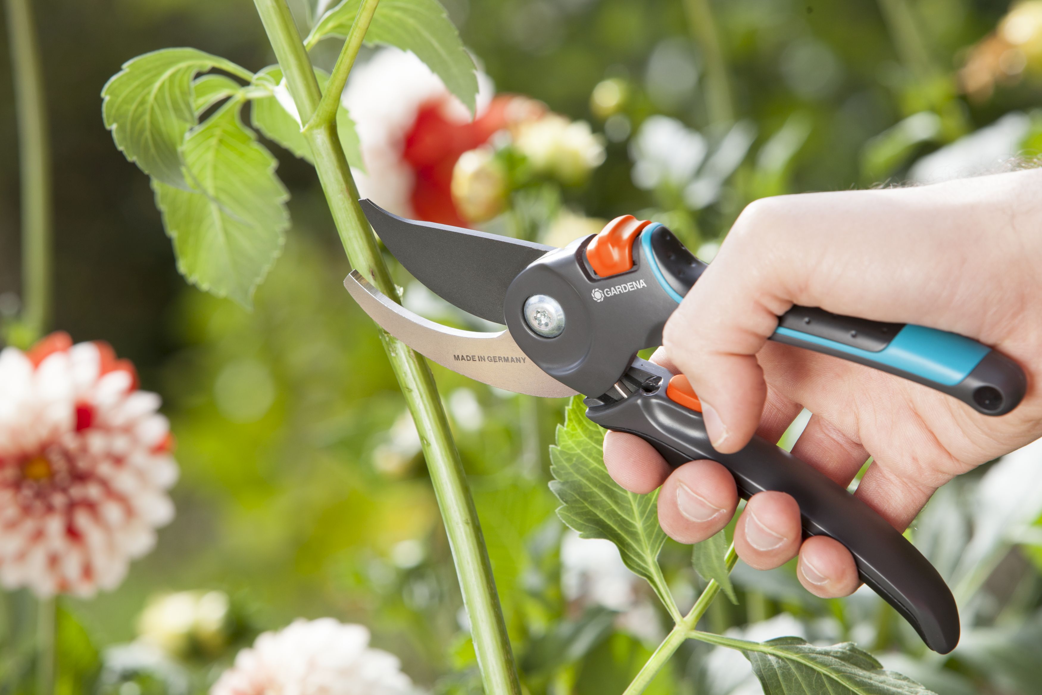 Tijera de Jardín B/M