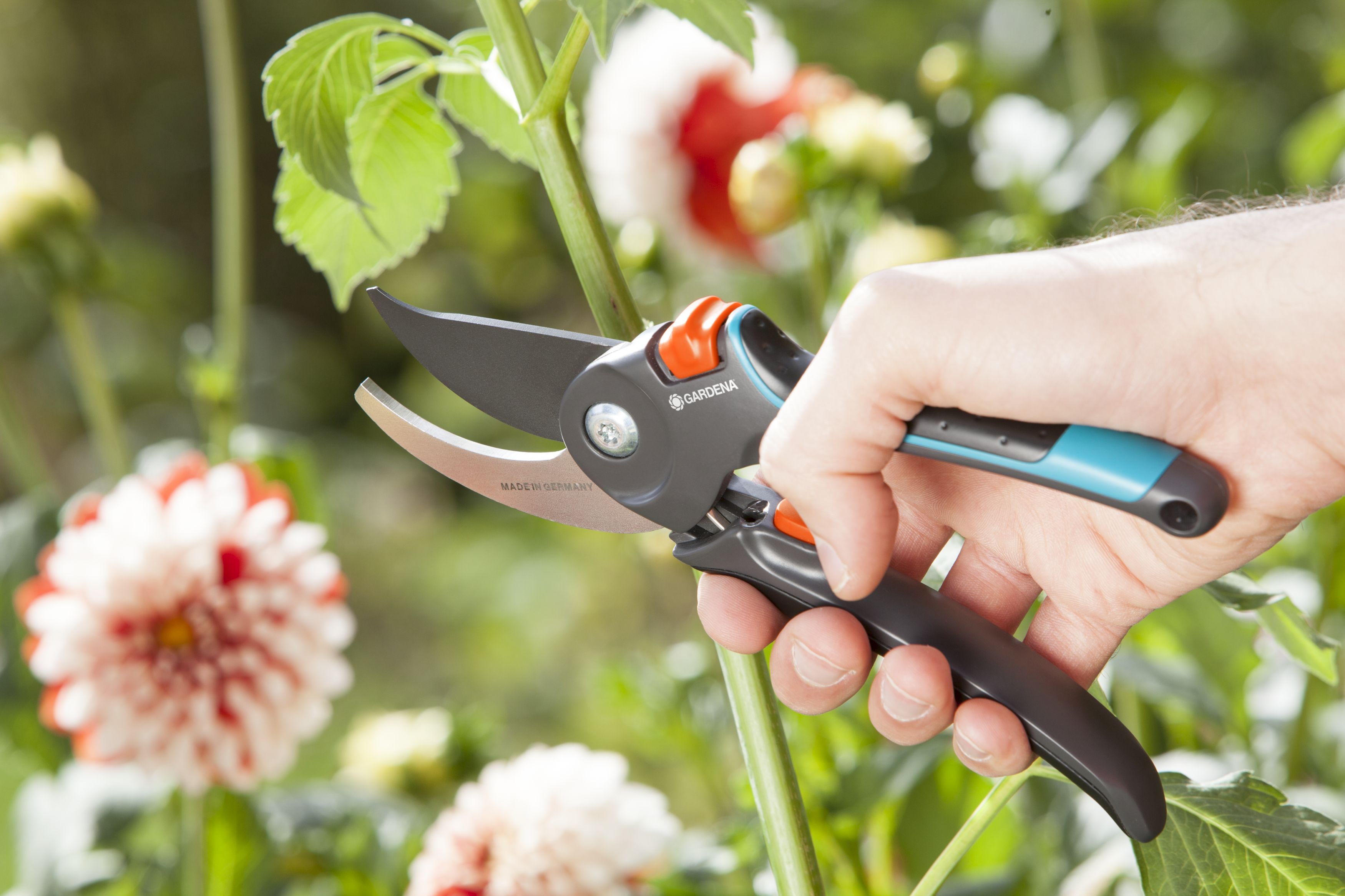 Tijera de Jardín B/M