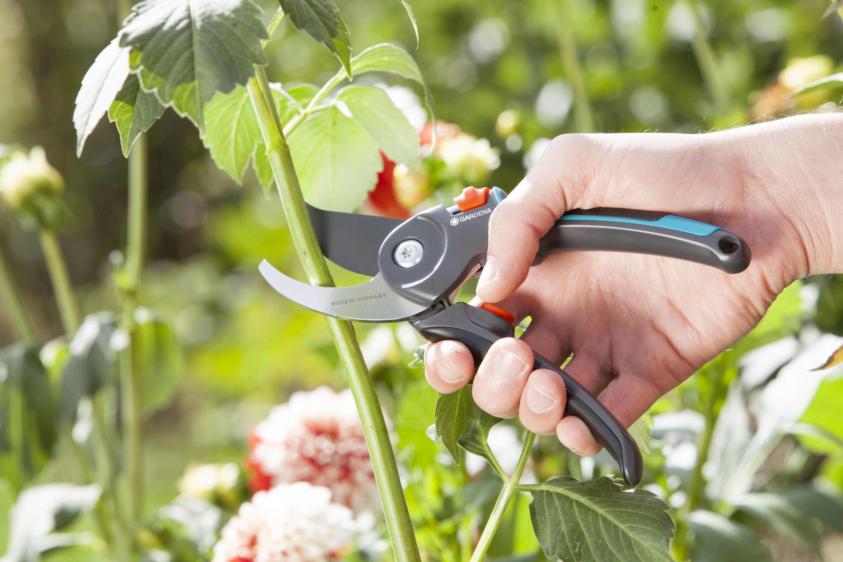 Tijera de Jardín B/M