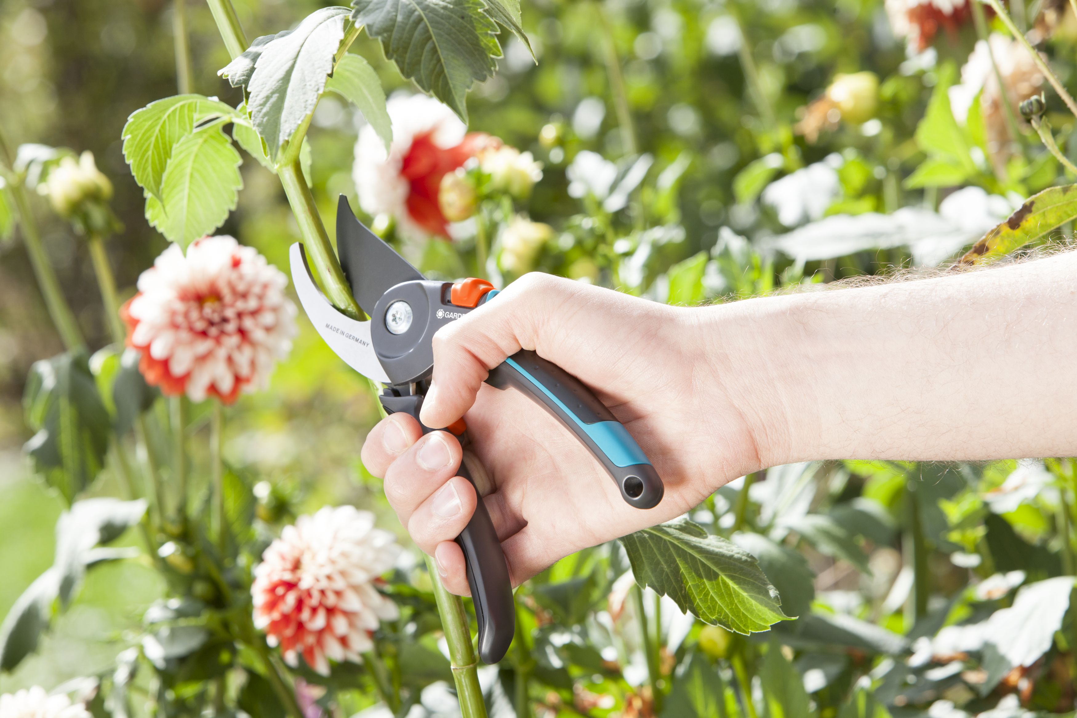 Tijera de Jardín B/M