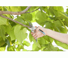 Tijera de Jardín de aluminio B/L