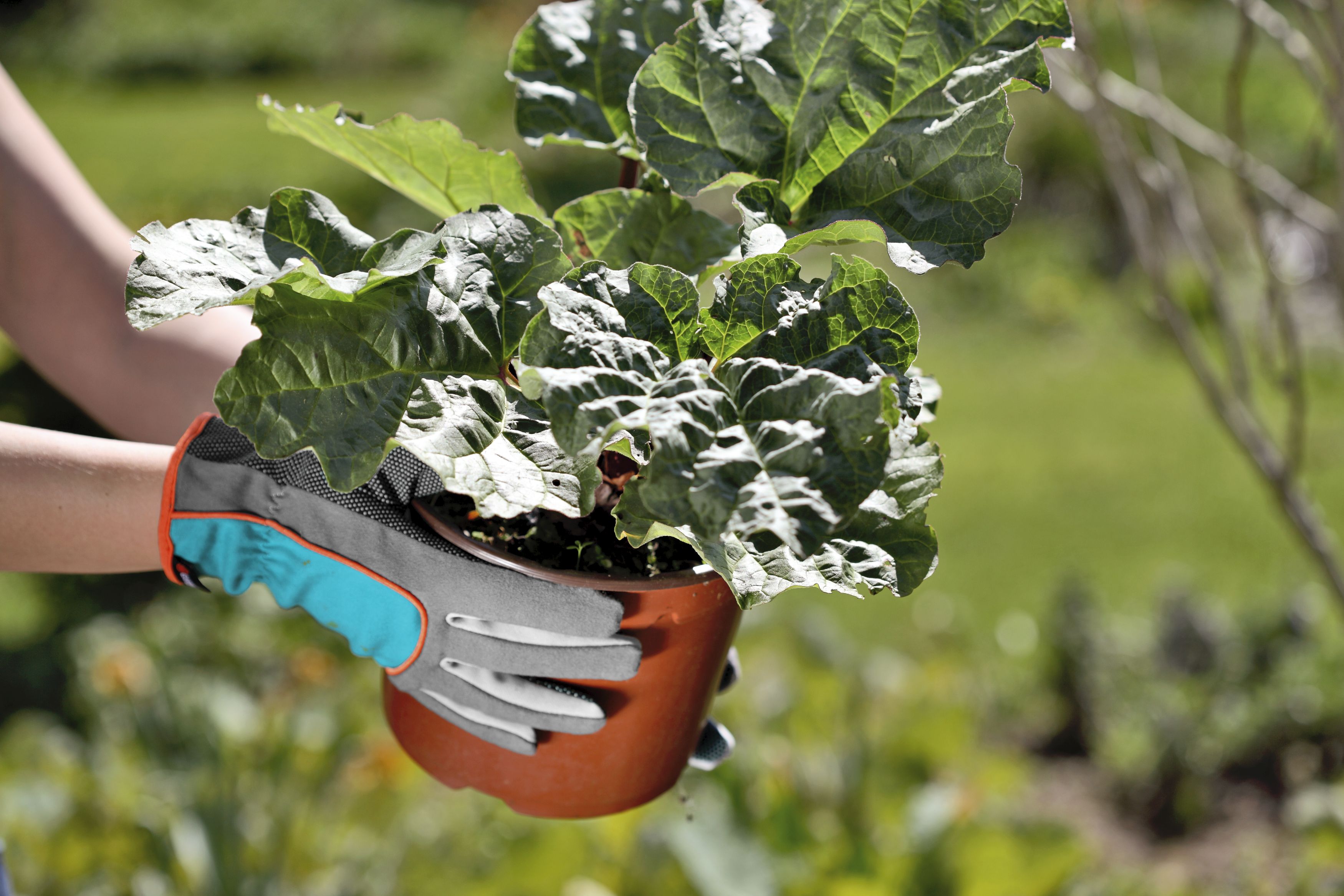 Guantes de jardín GARDENA. Talla 6 / XS