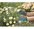 Guantes de jardín GARDENA. Talla 6 / XS