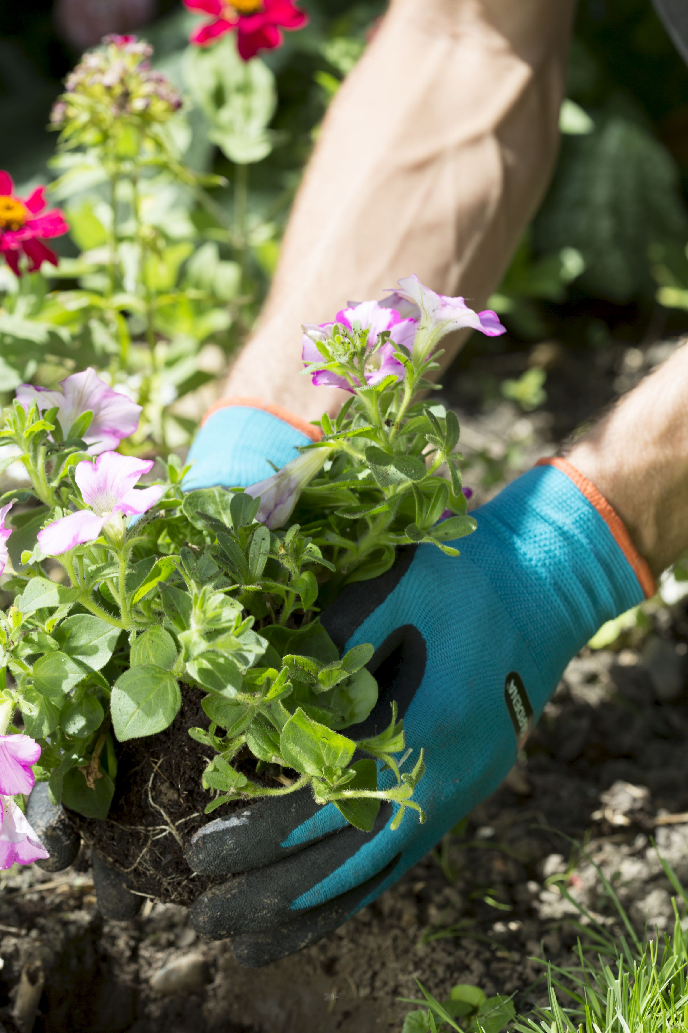 Guantes para plantar y trabajar la tierra. Talla 8 / M