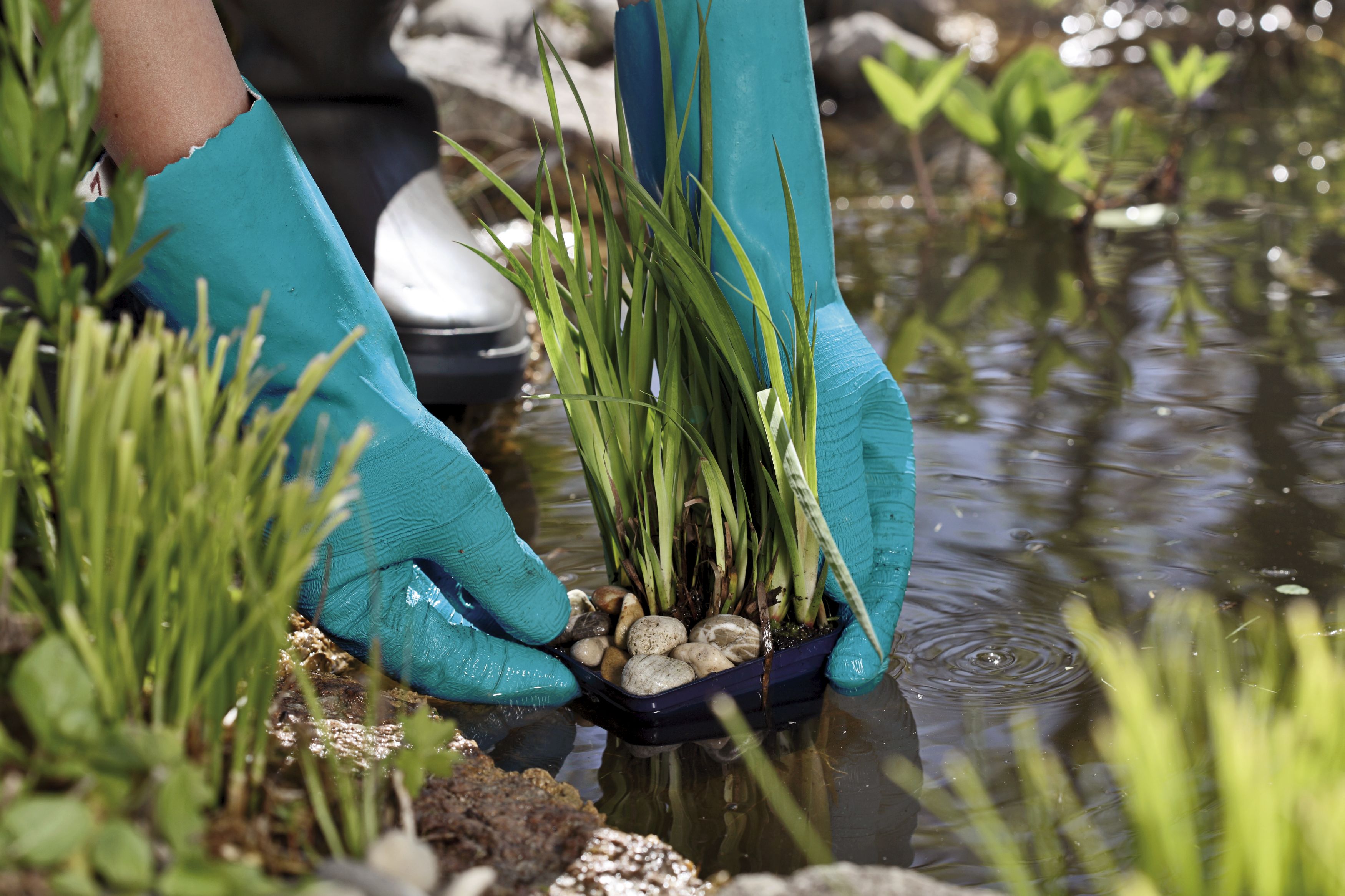 Guantes para agua GARDENA. Talla 7 / S