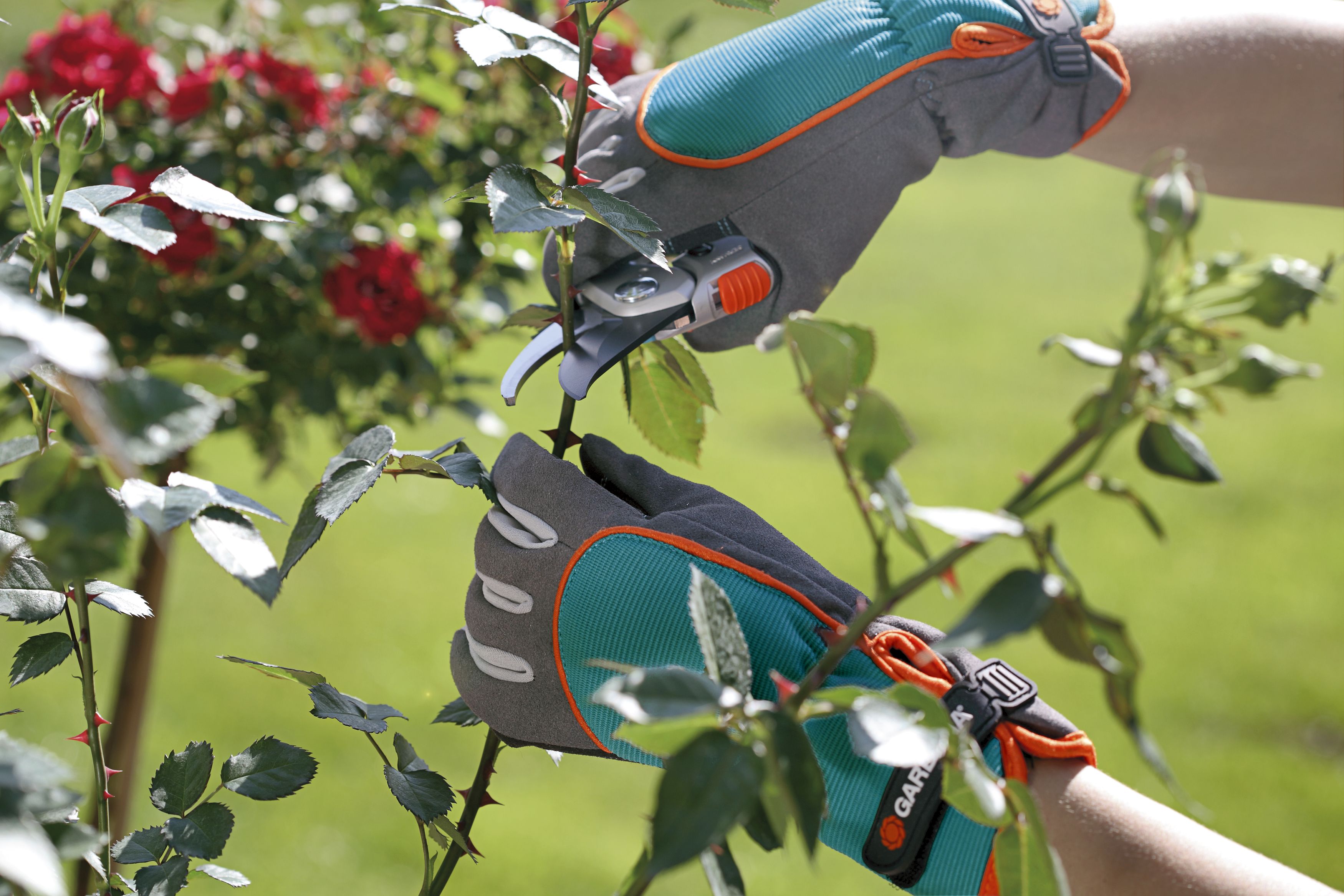 Guantes para el cuidado de arbustos GARDENA. Talla 7 / S