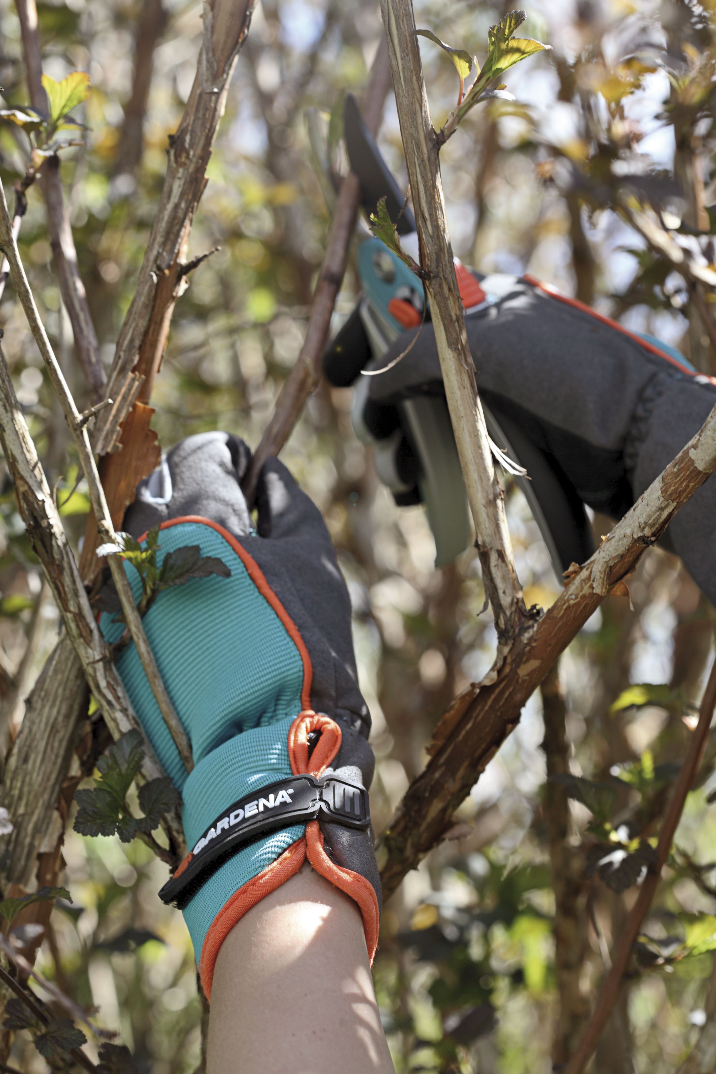 Guantes para el cuidado de arbustos GARDENA. Talla 7 / S