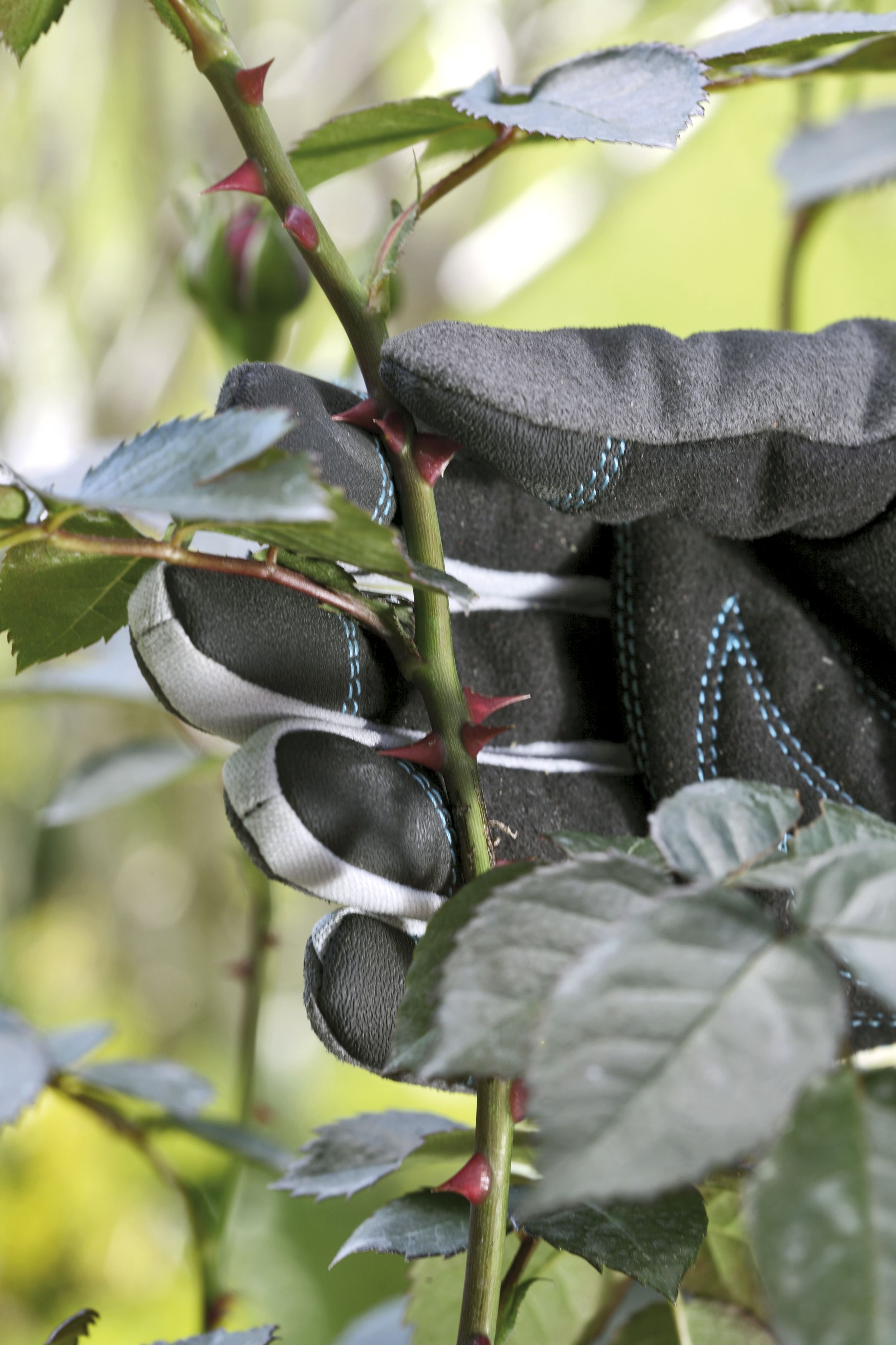 Guantes para el cuidado de arbustos GARDENA. Talla 7 / S