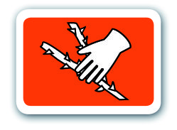 Guantes para el cuidado de arbustos GARDENA. Talla 7 / S