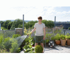 City gardening box de manguera 10 m