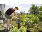 City gardening Manguera espiral 7,5