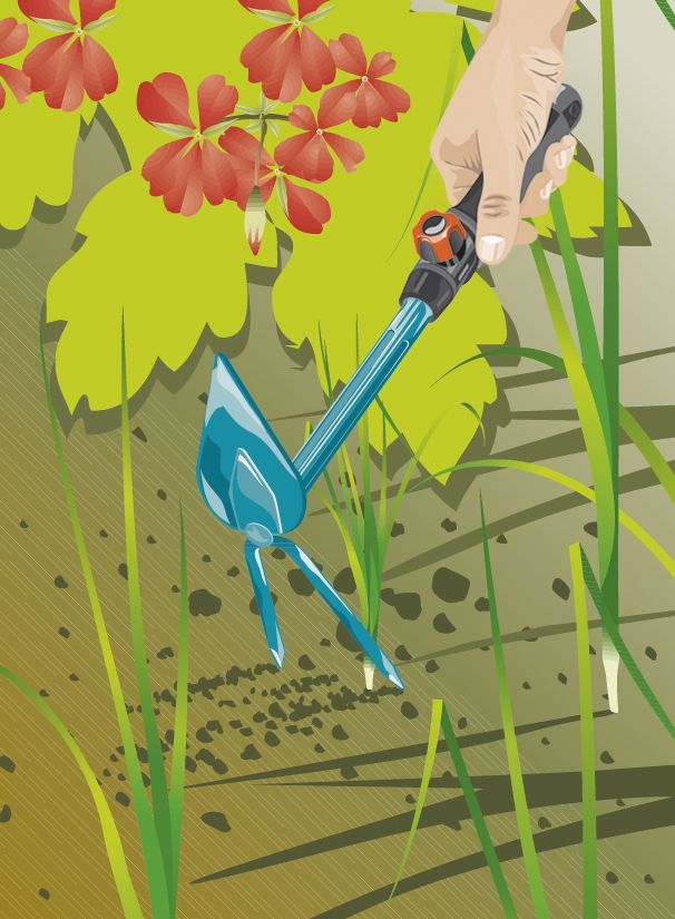 Azada punta dos dientes Combisystem