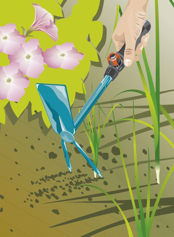 Azada dos dientes Combisystem