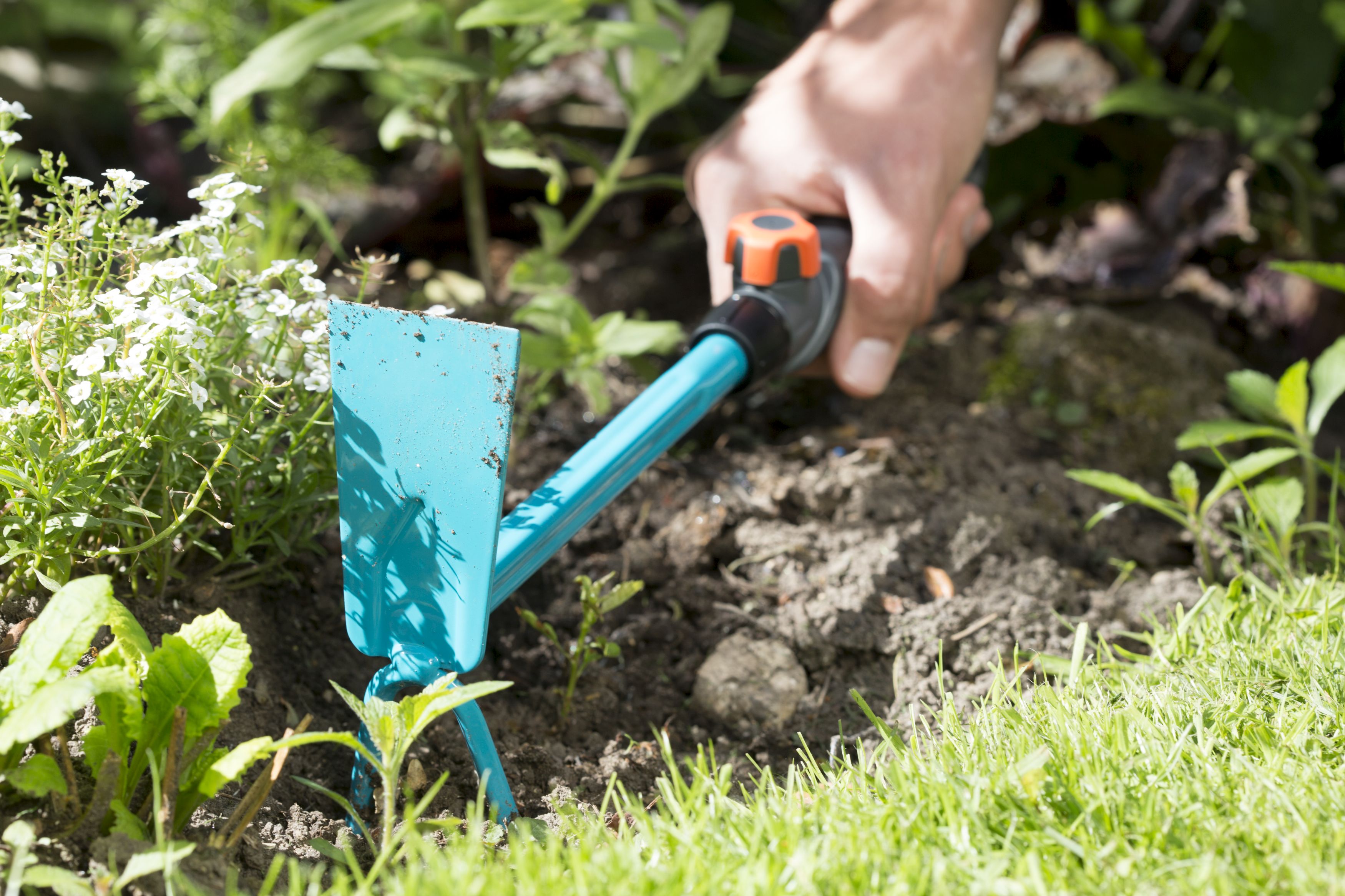 Azada dos dientes Combisystem