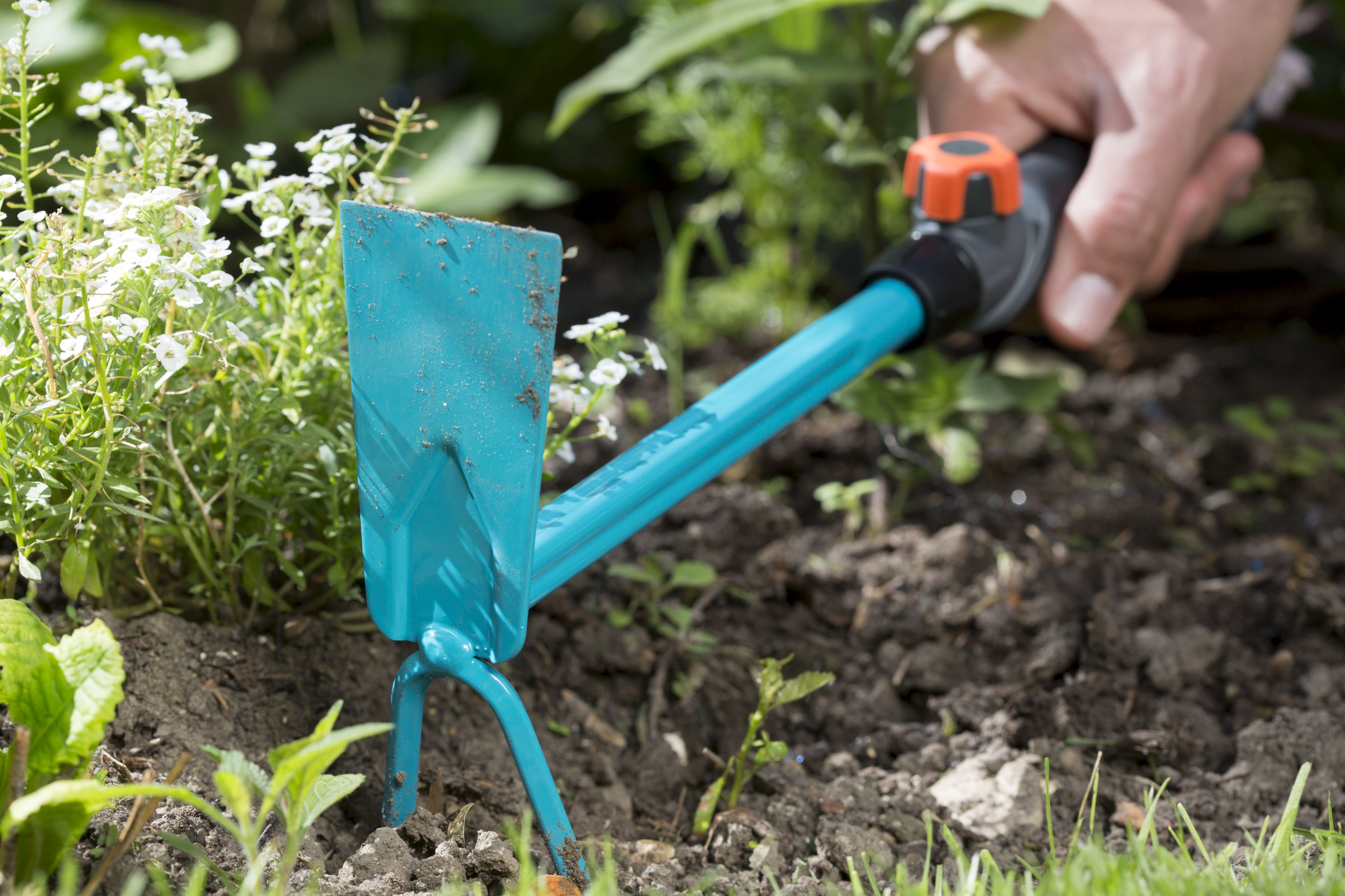 Azada dos dientes Combisystem