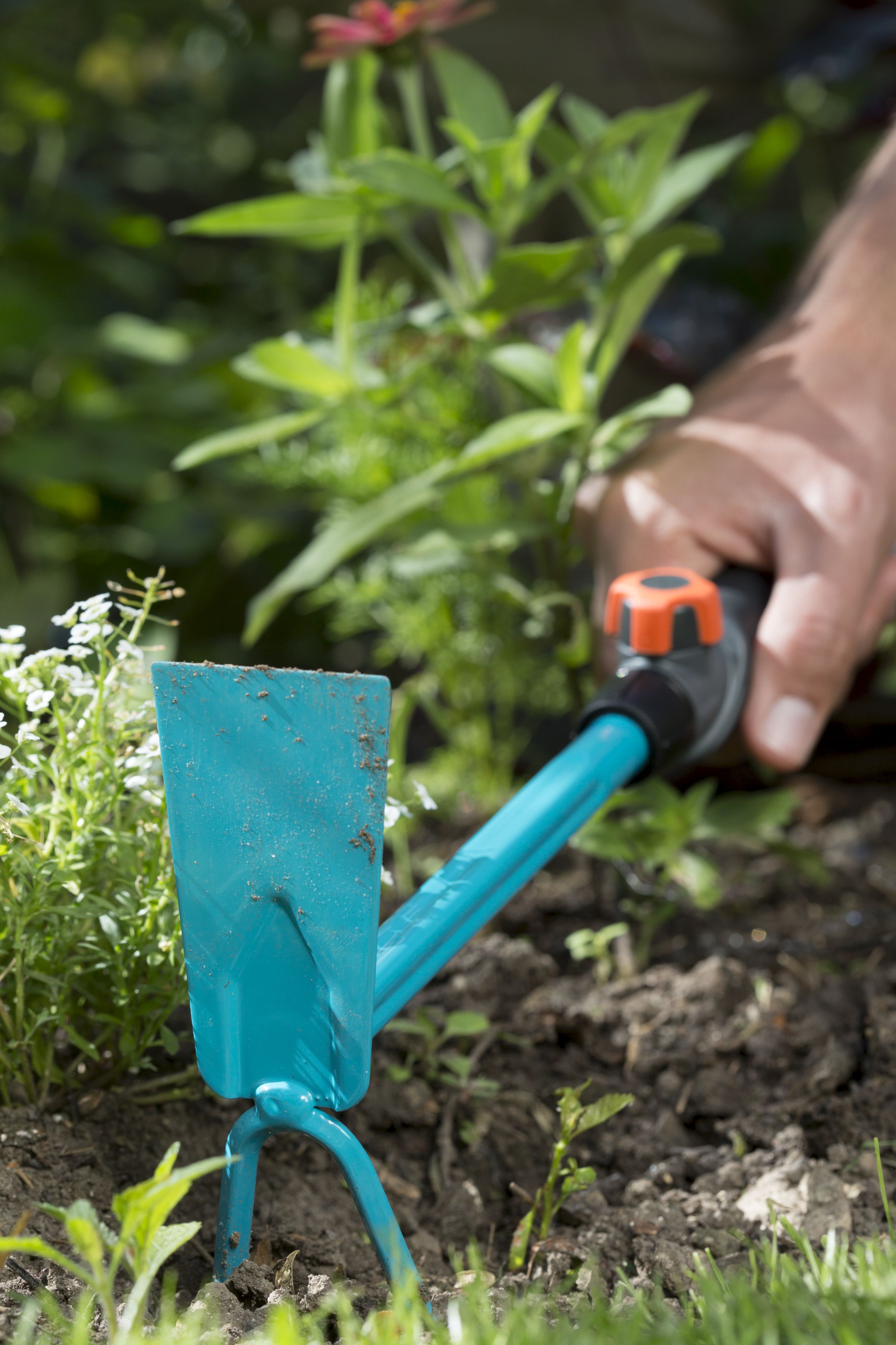 Azada dos dientes Combisystem