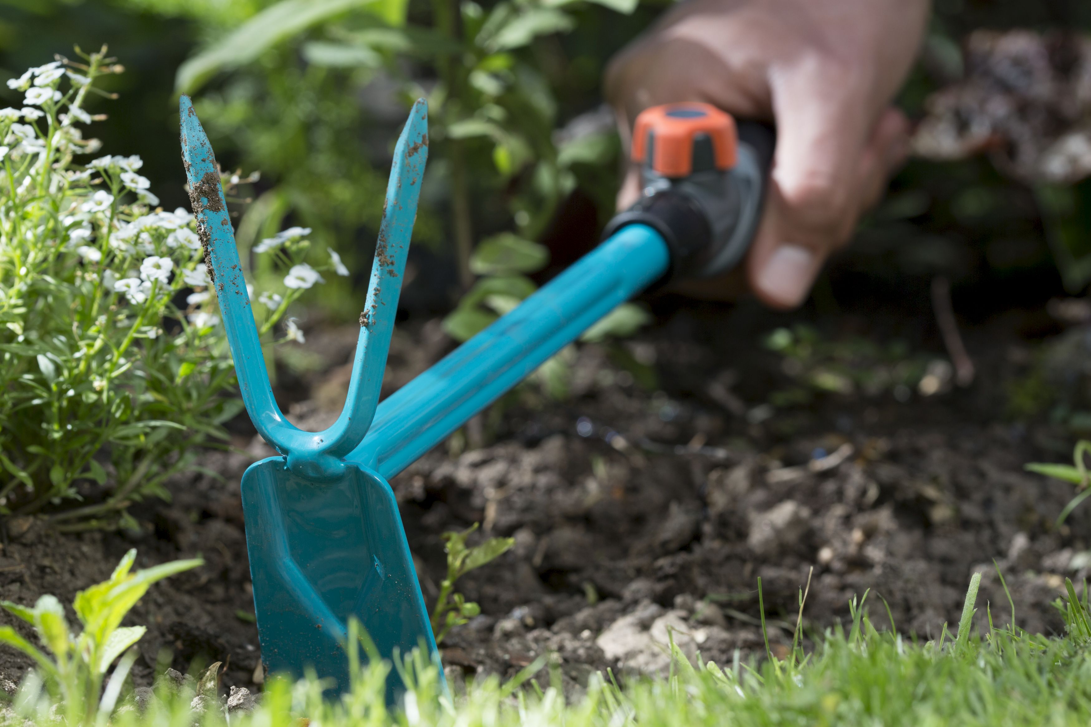 Azada dos dientes Combisystem