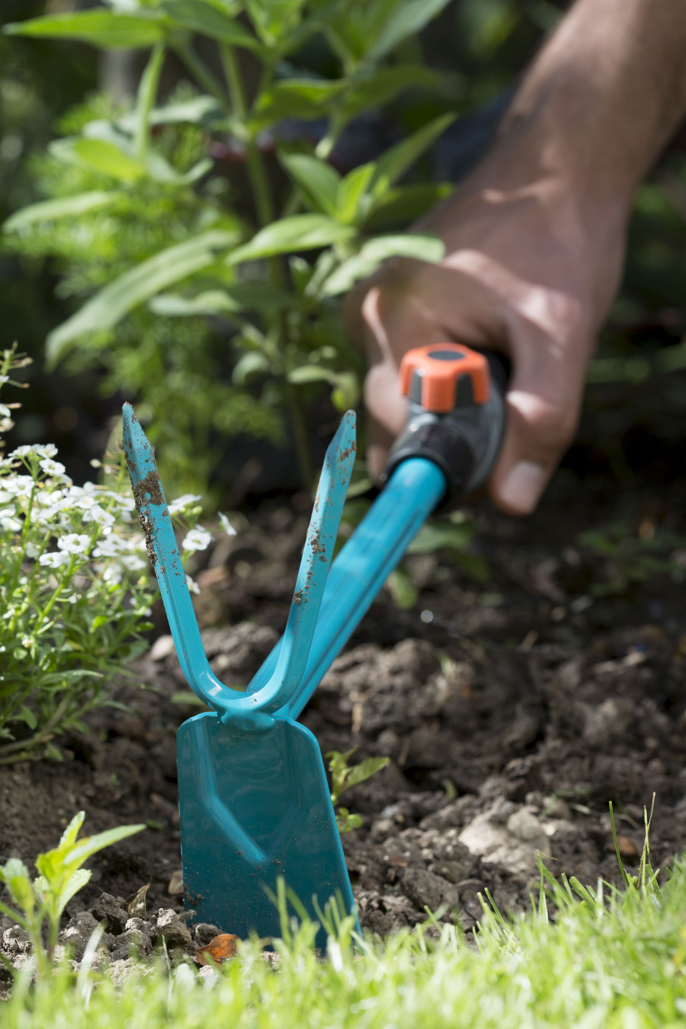 Azada dos dientes Combisystem