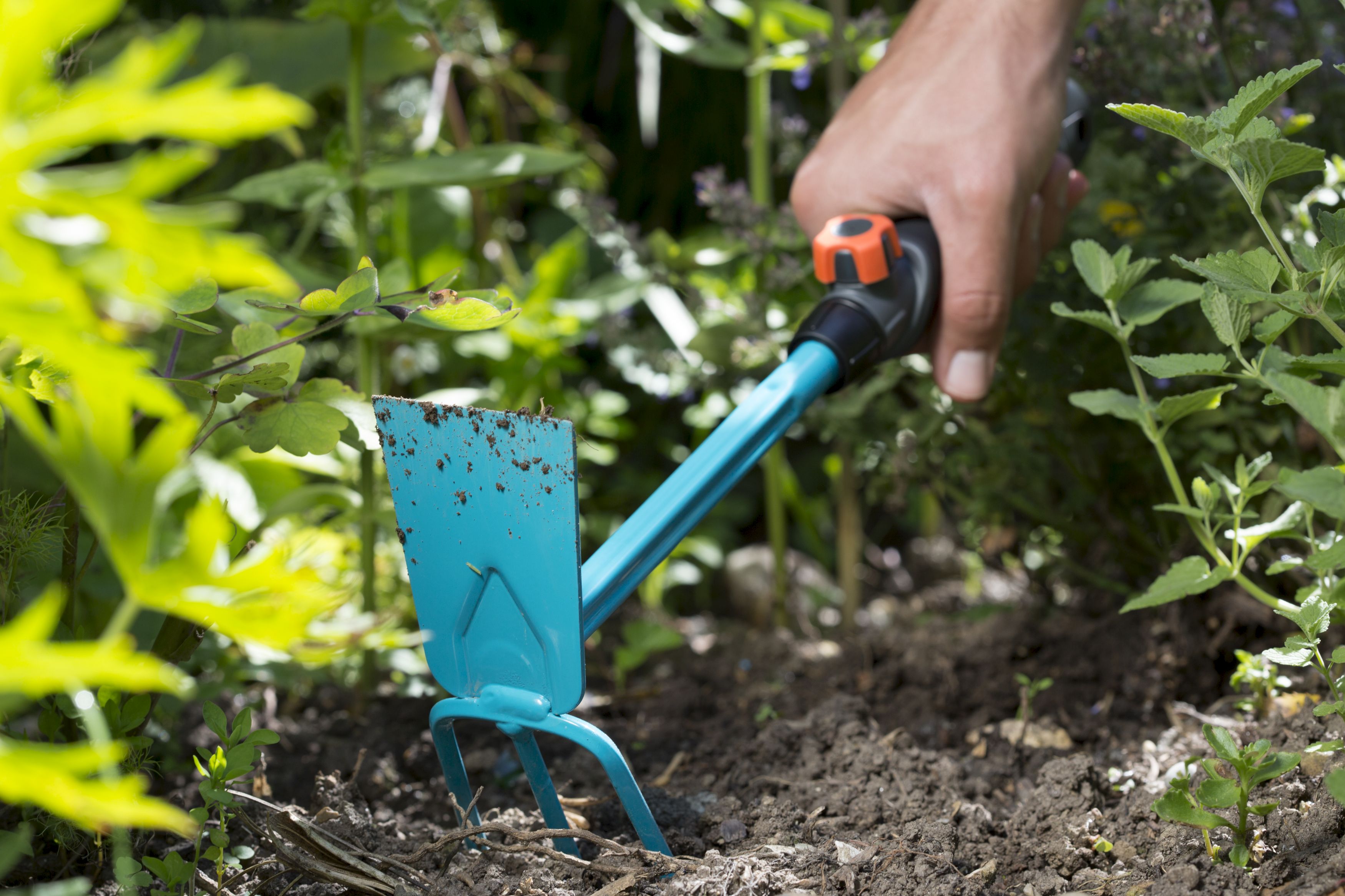 Azada tres dientes Combisystem