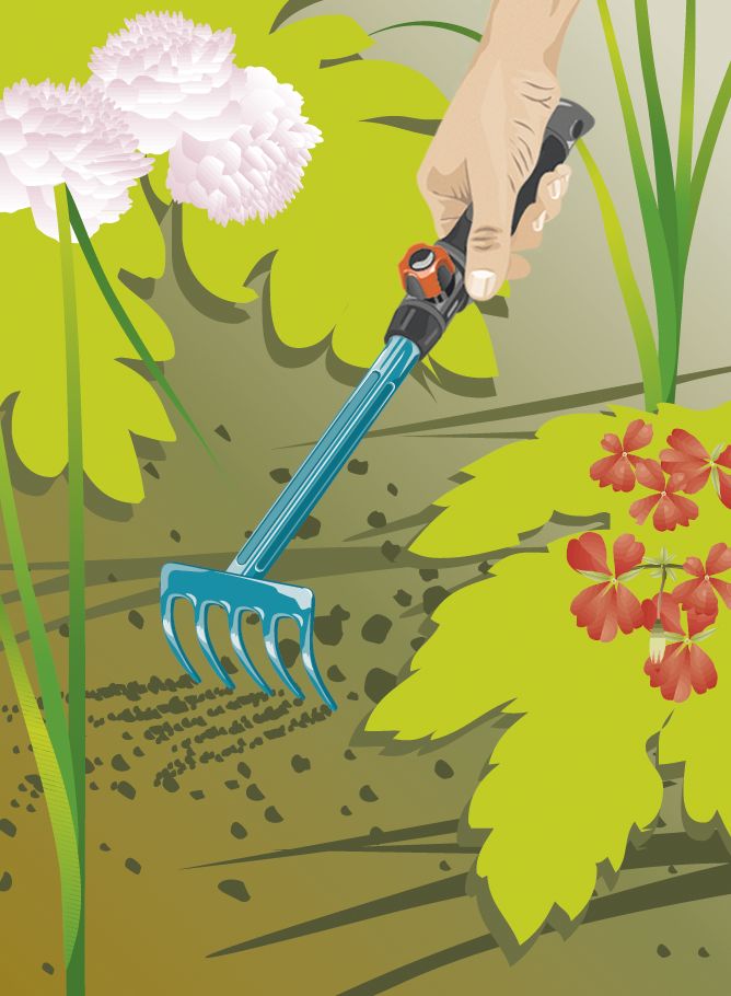 Rastrillo pequeño combisystem