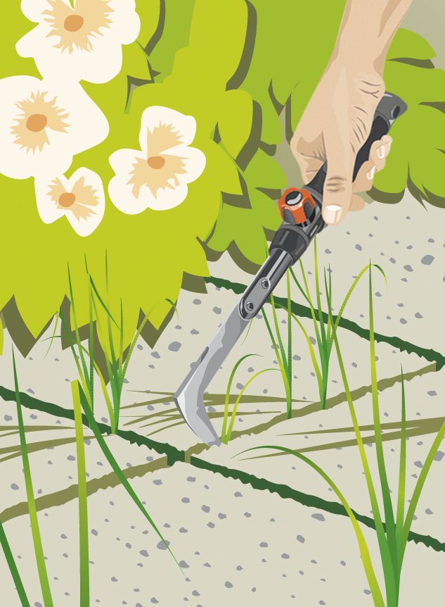 Rasqueta Combisystem