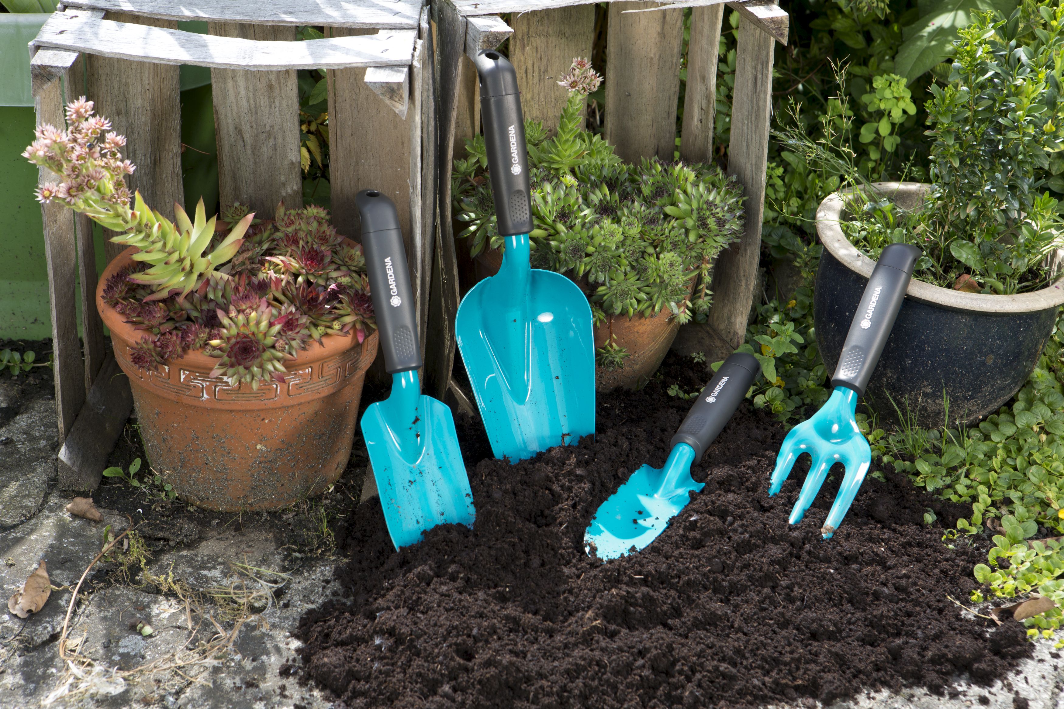 Palita ancha Classic