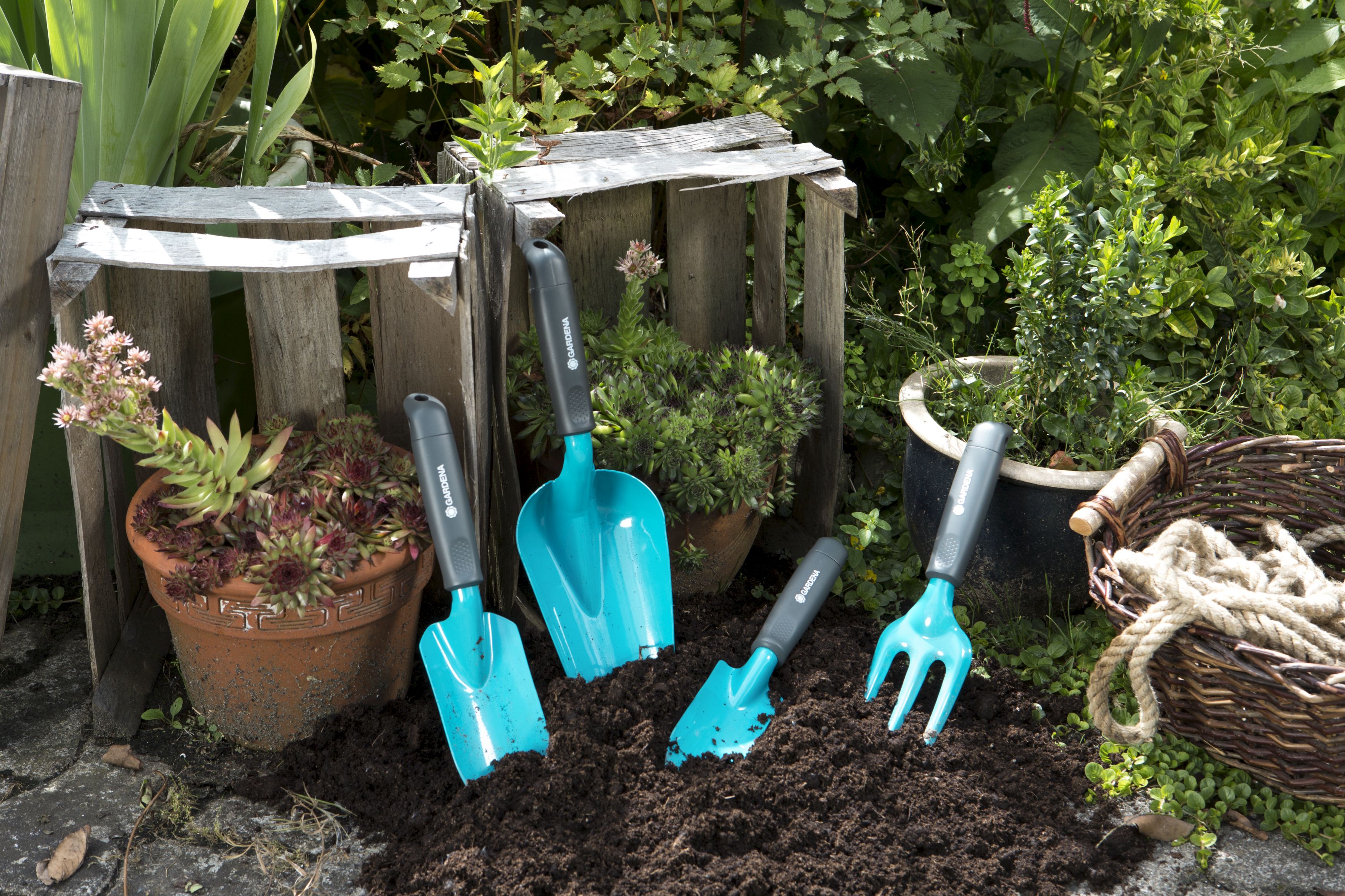 Palita ancha Classic