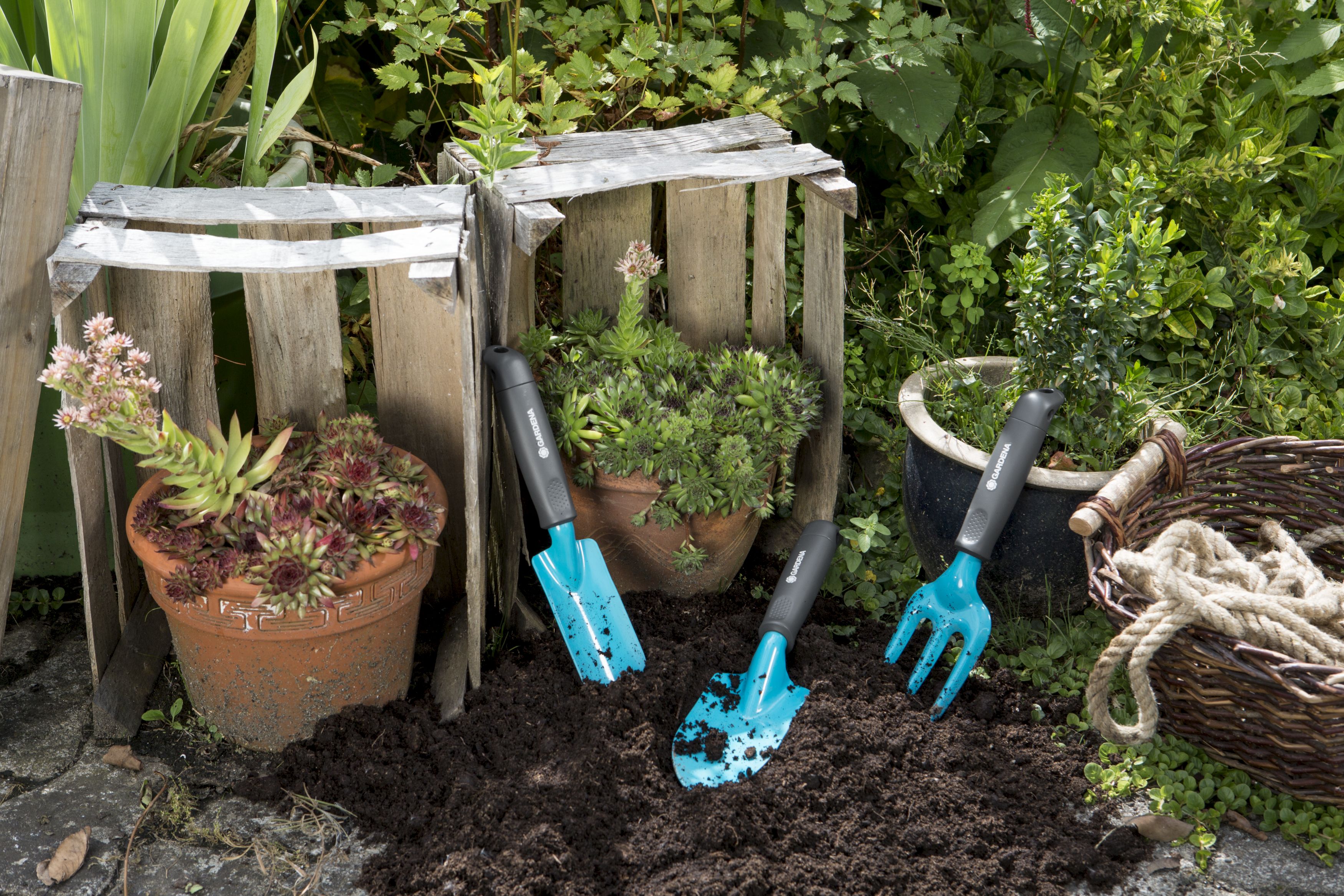 Palita ancha Classic