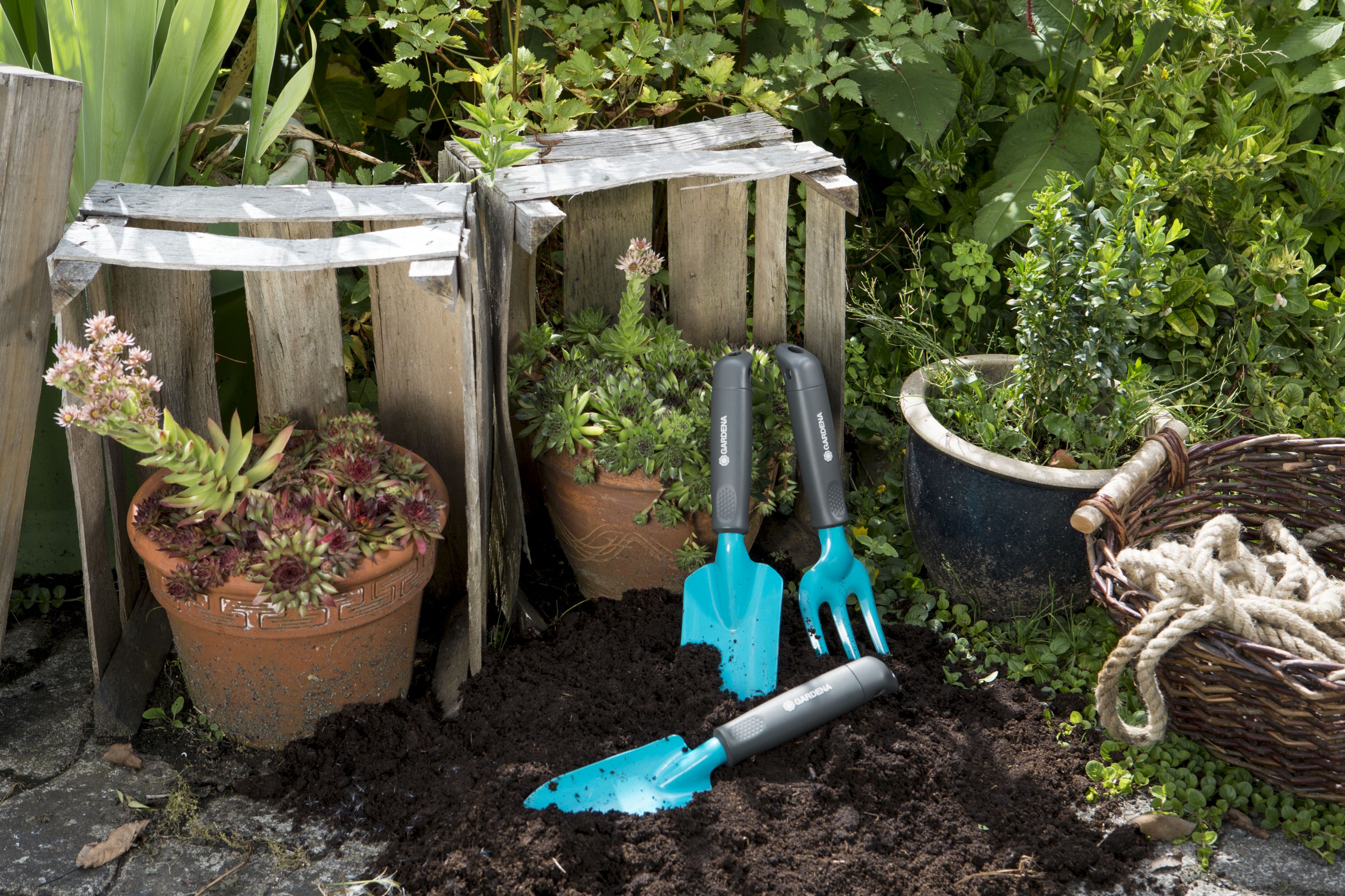 Palita ancha Classic