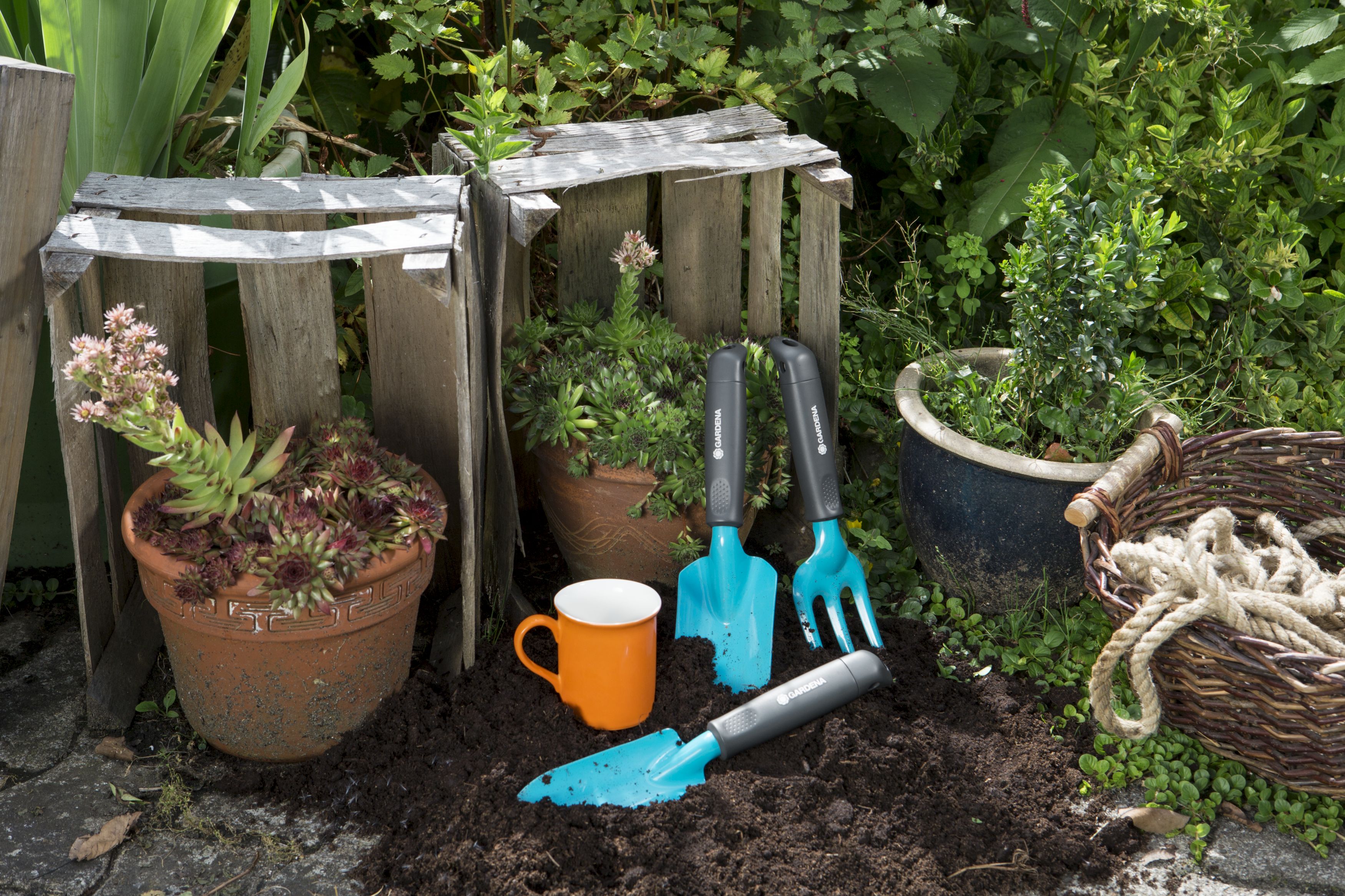 Palita ancha Classic