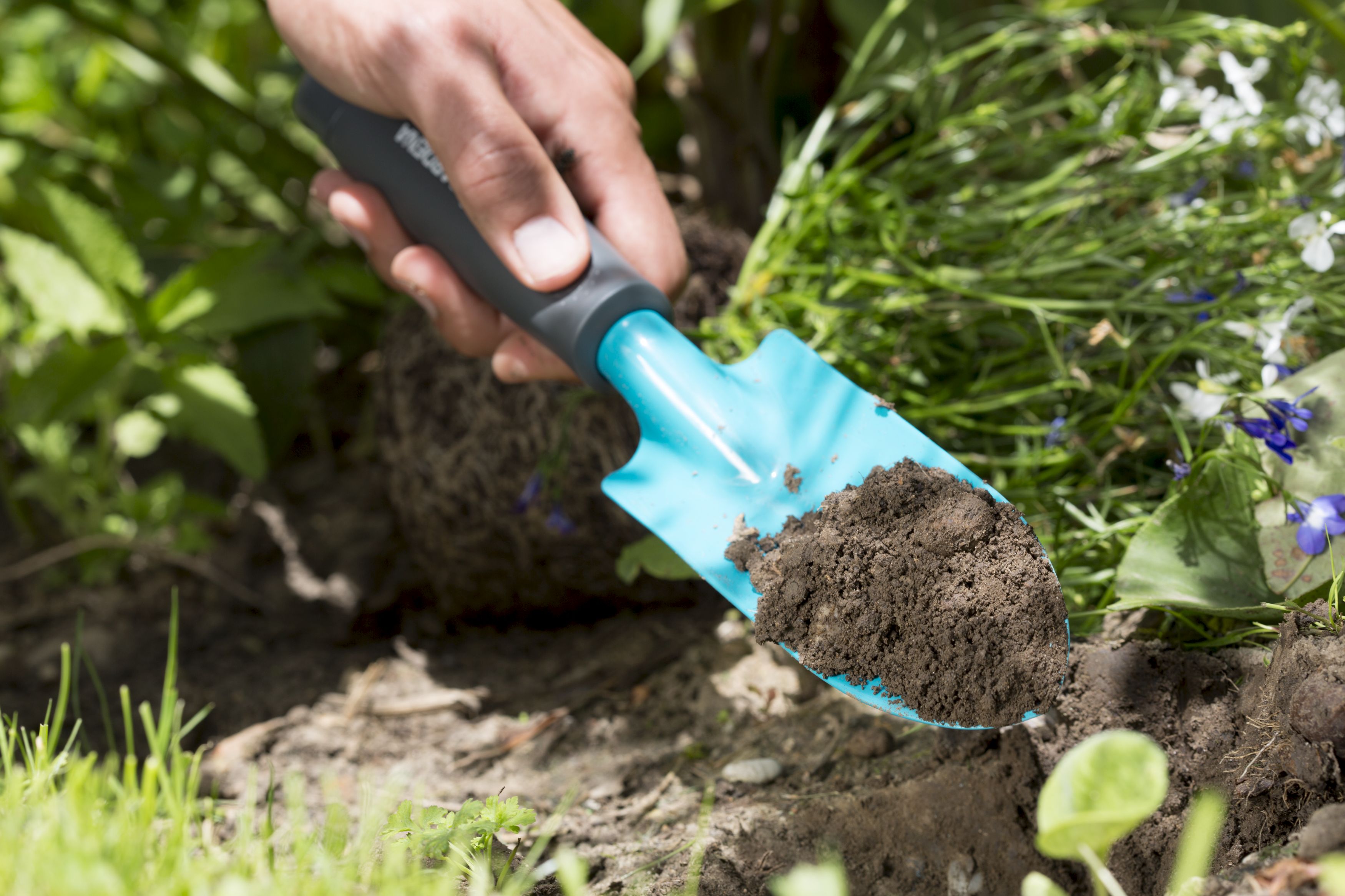 Palita ancha Classic