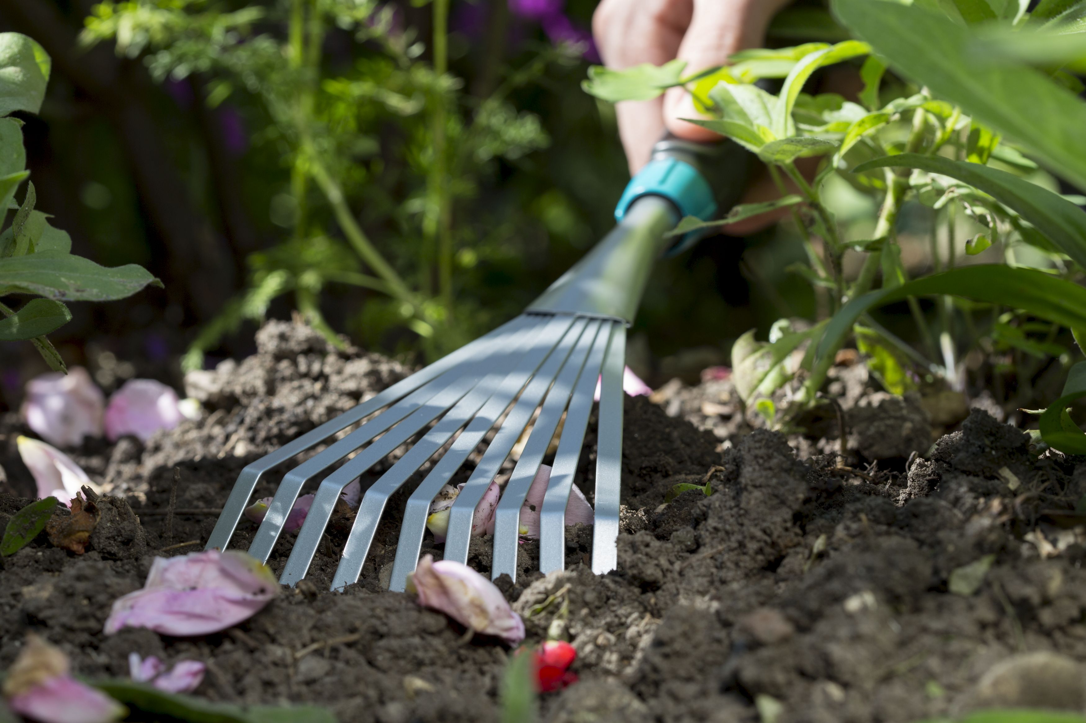 Rastrillo plano Comfort