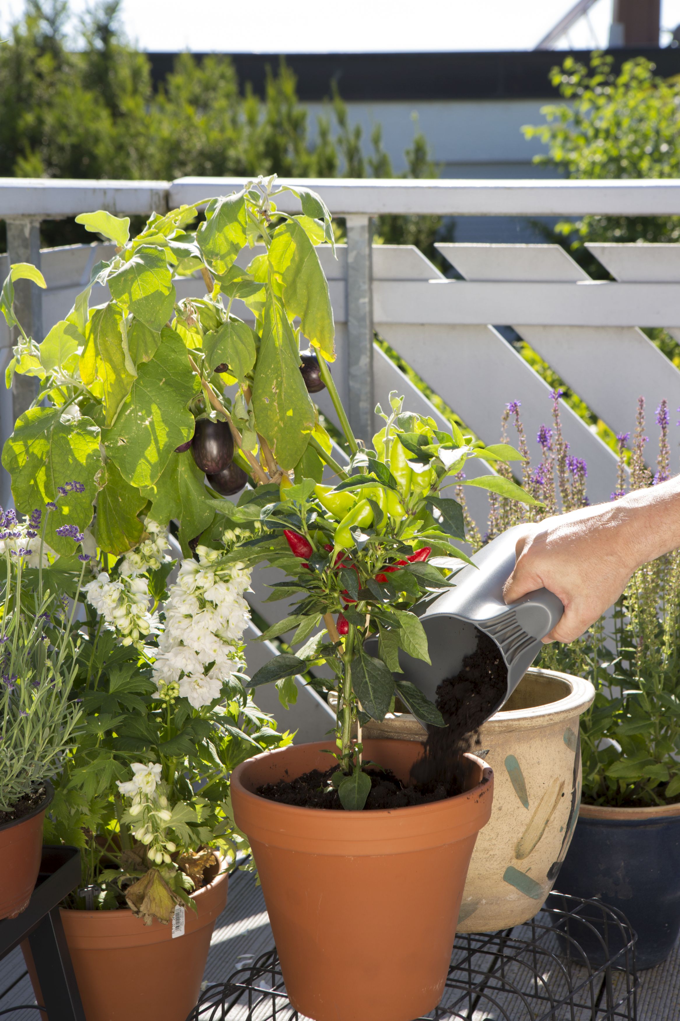 Promoción Herramientas de mano