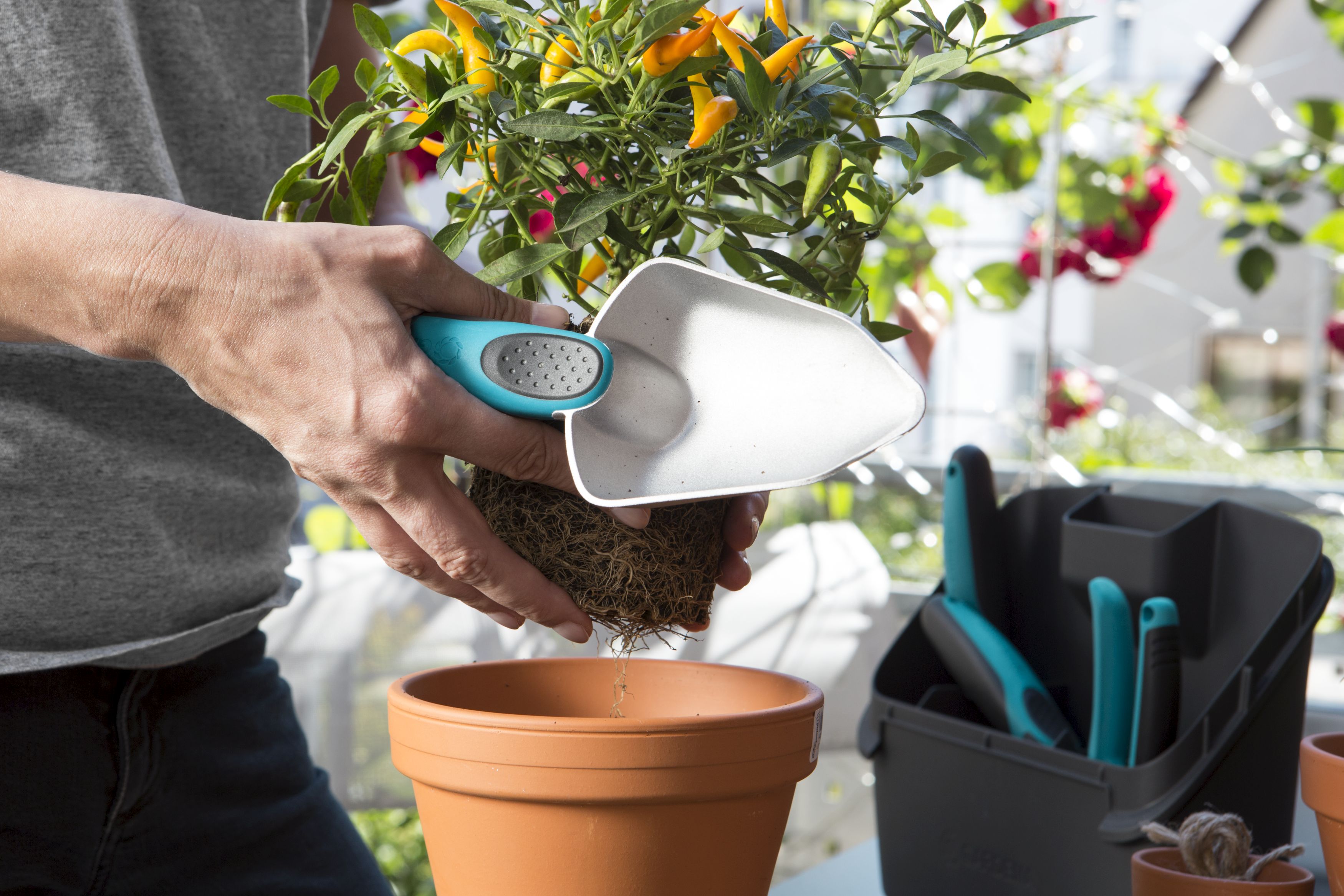 Surtido herramientas balcón citygar