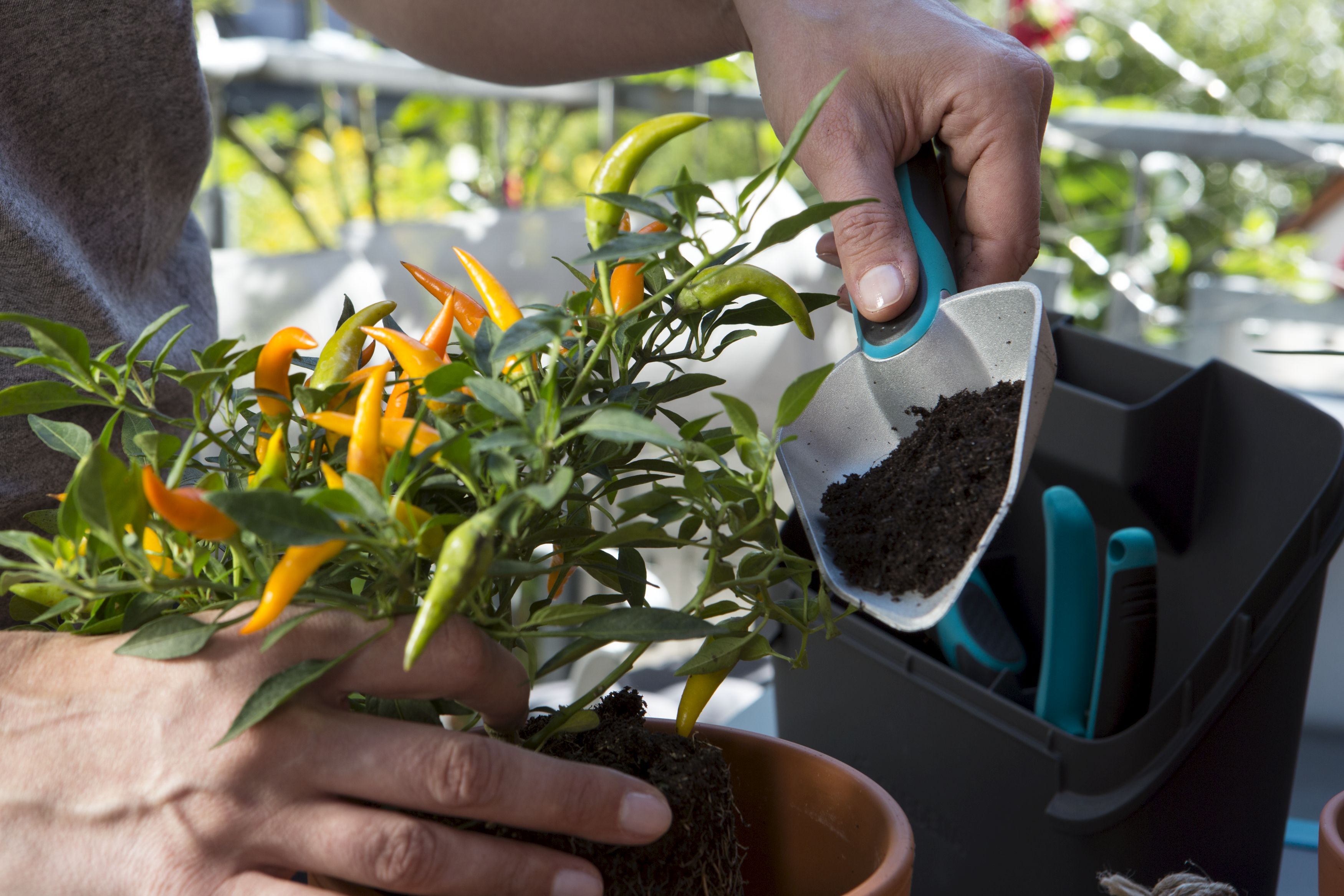 Surtido herramientas balcón citygar