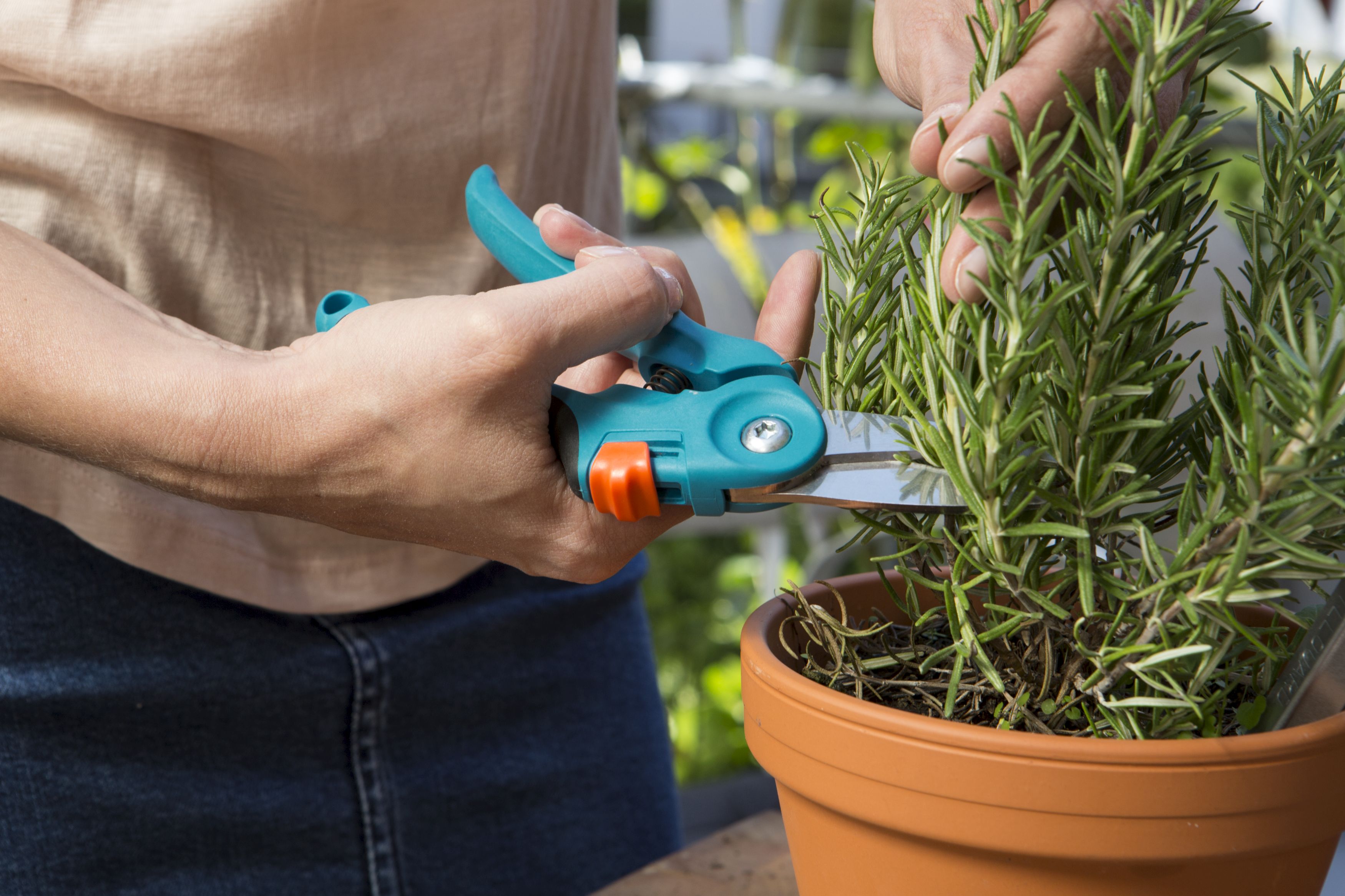 Surtido herramientas balcón citygar