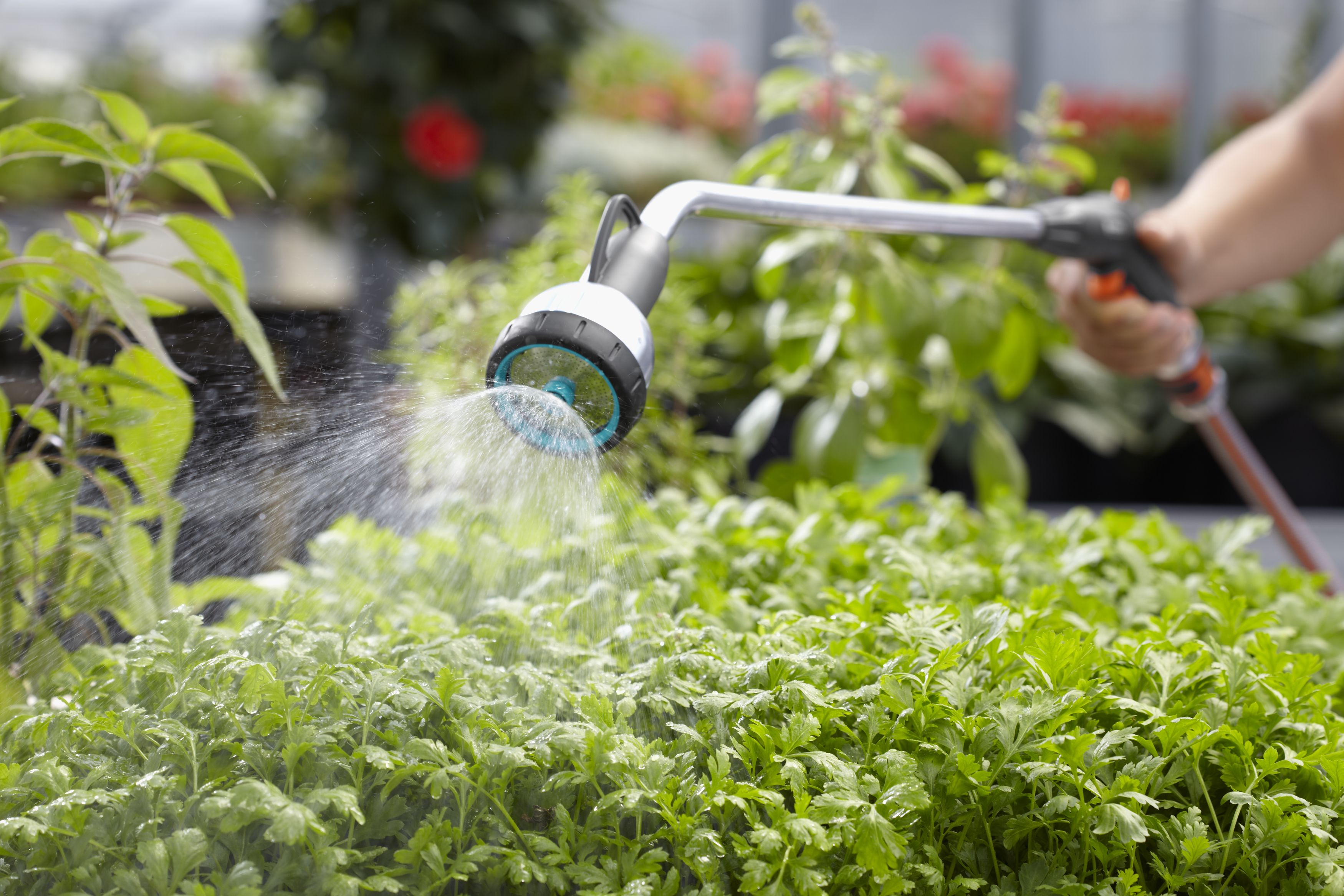 Fusil de riego Premium