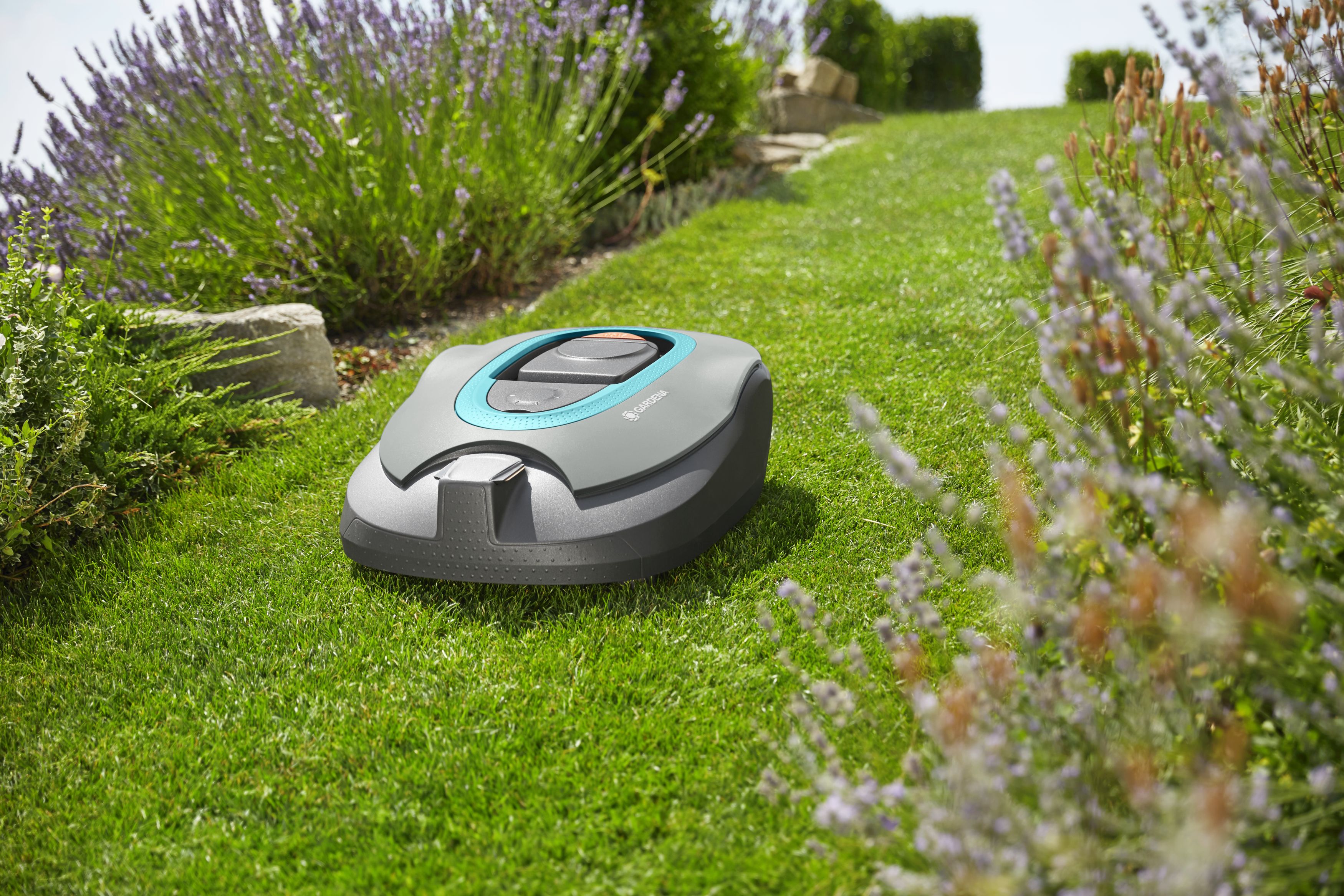 Robot SILENO+ 1600 m²