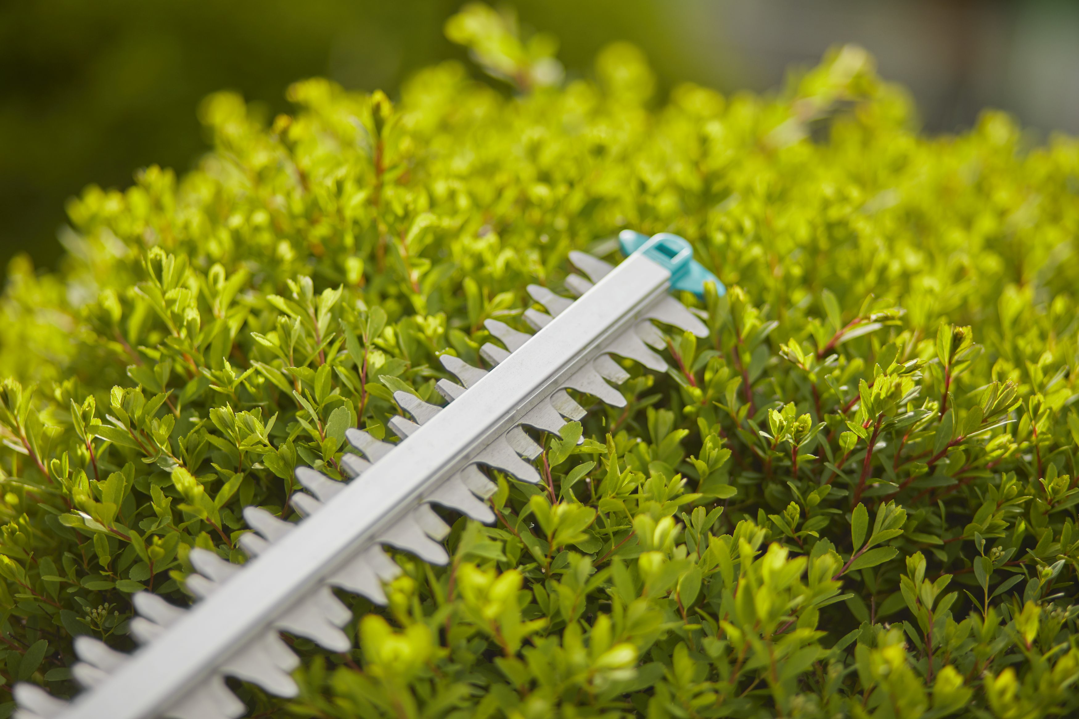 SET Cortasetos ComfortCut Li-18/60