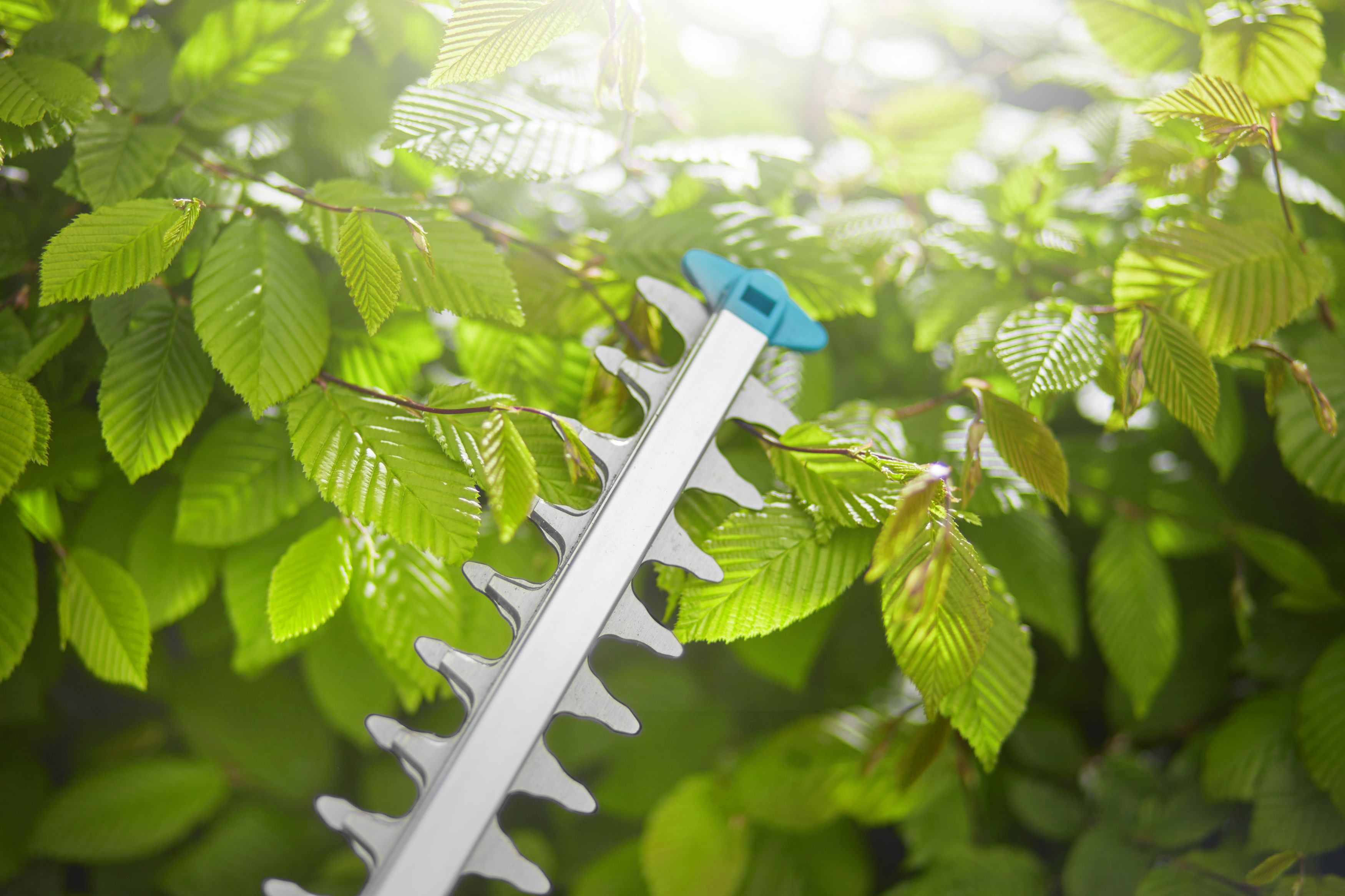 Set Cortasetos ComfortCut Li-18/50