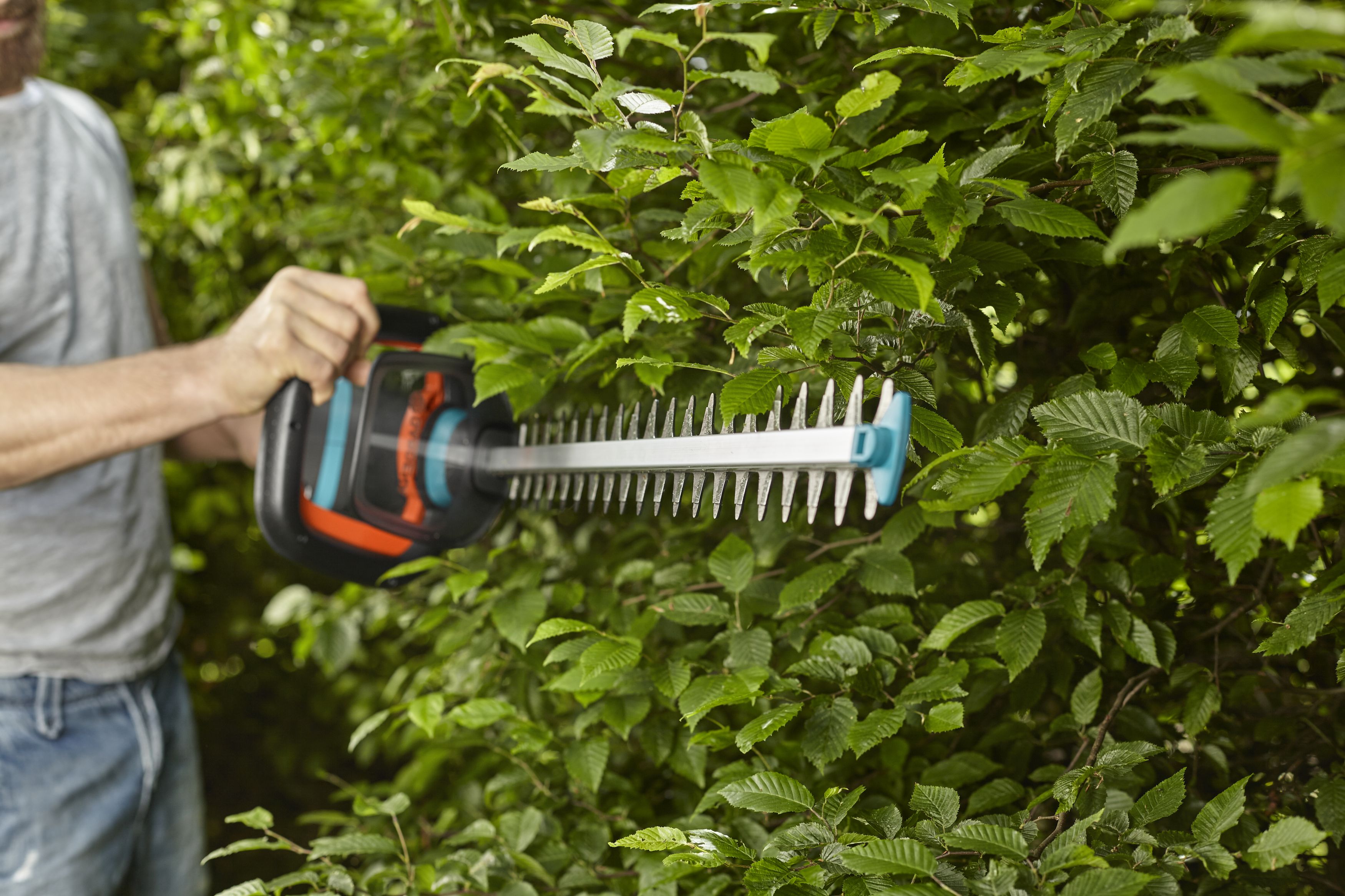 SET Cortasetos PowerCut Li-40/60