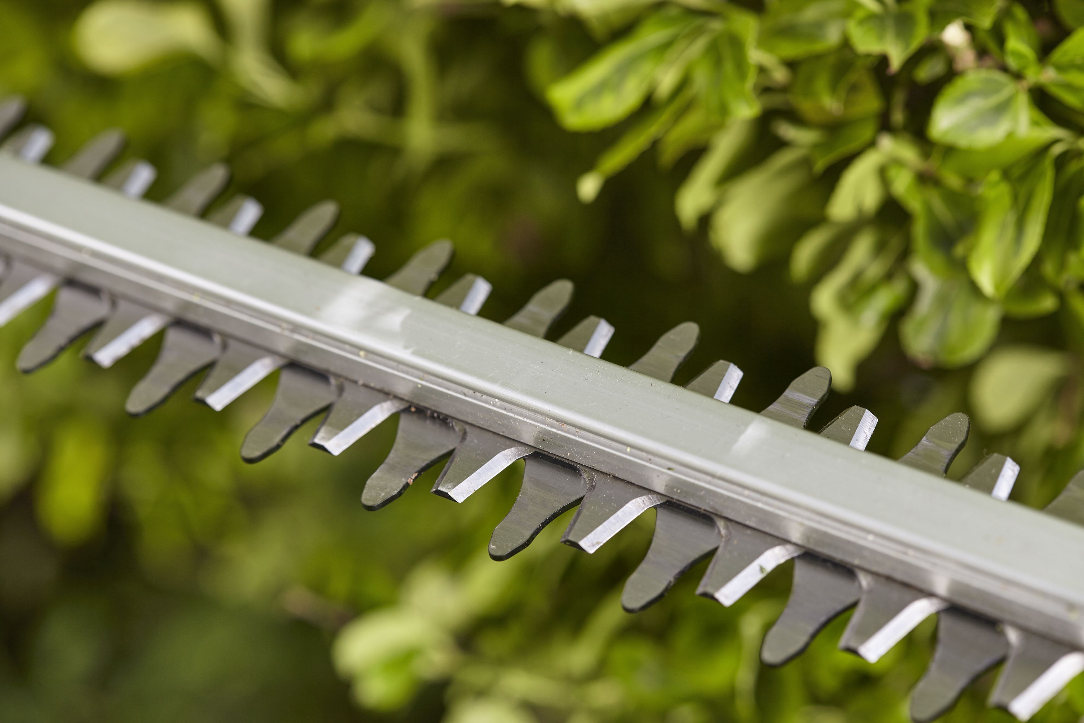 SET Cortasetos PowerCut Li-40/60