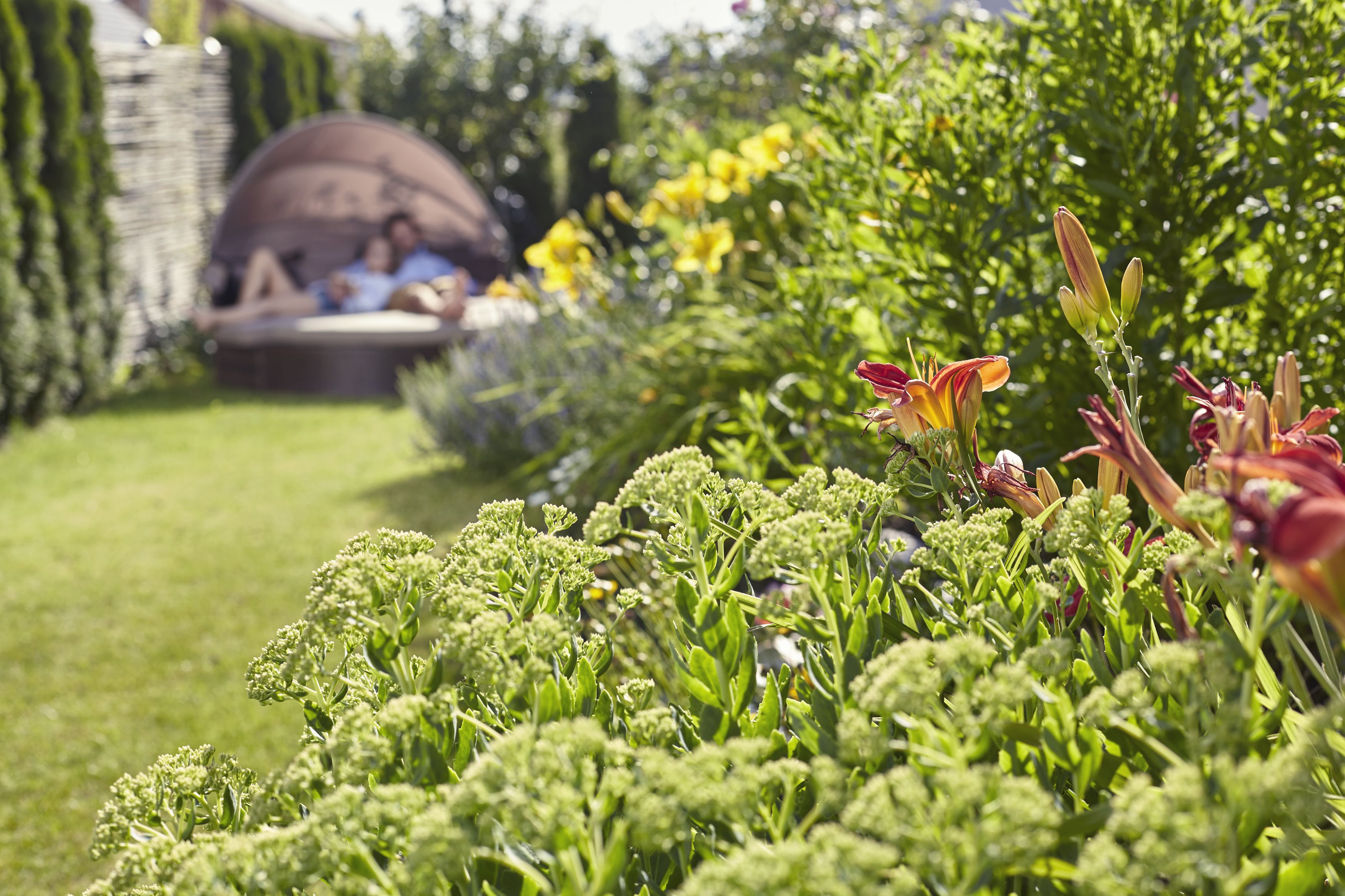 Robot Sileno city 250