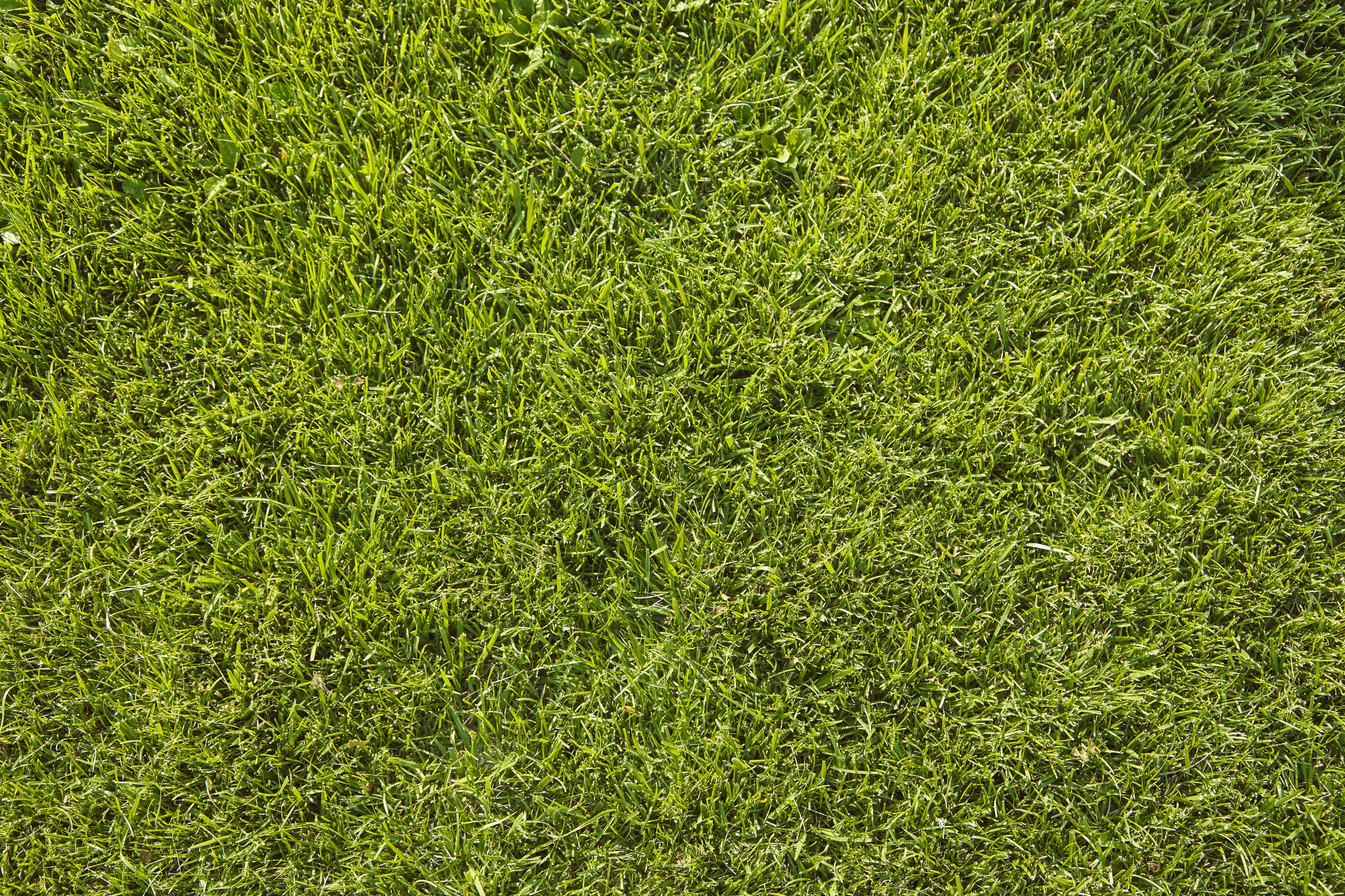 Robot Sileno city 250