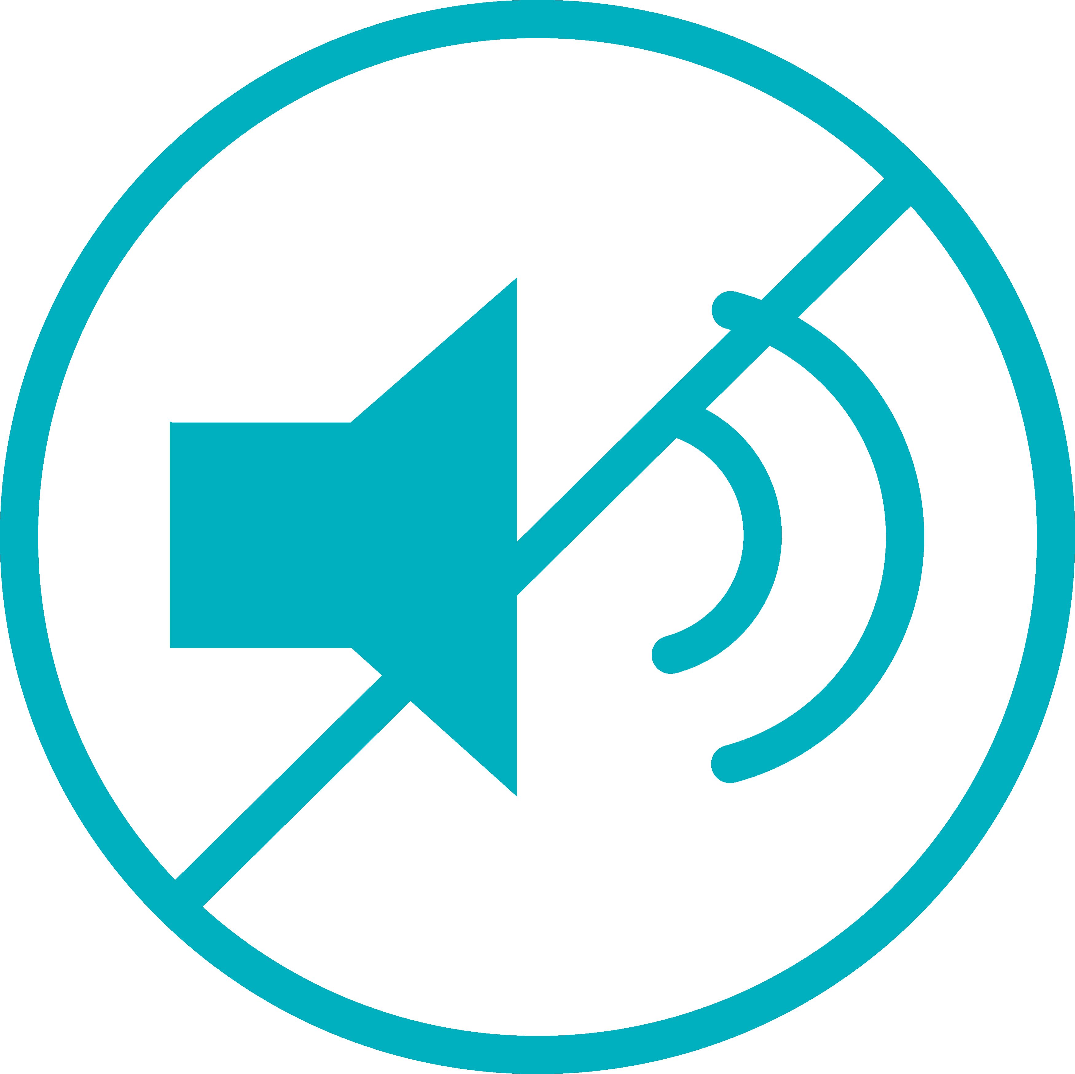 smart SILENO city 500