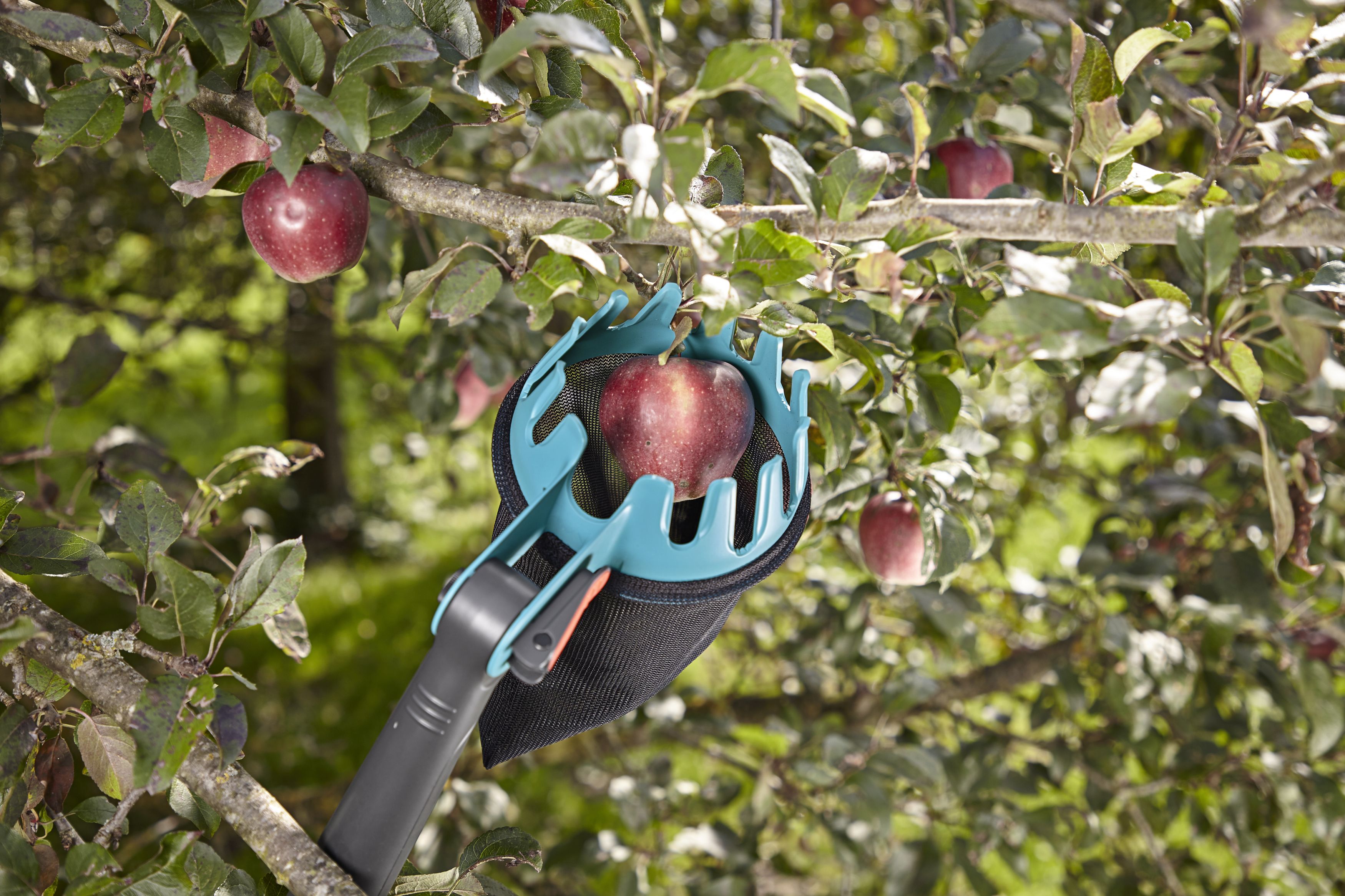 Recolector de fruta Combisystem