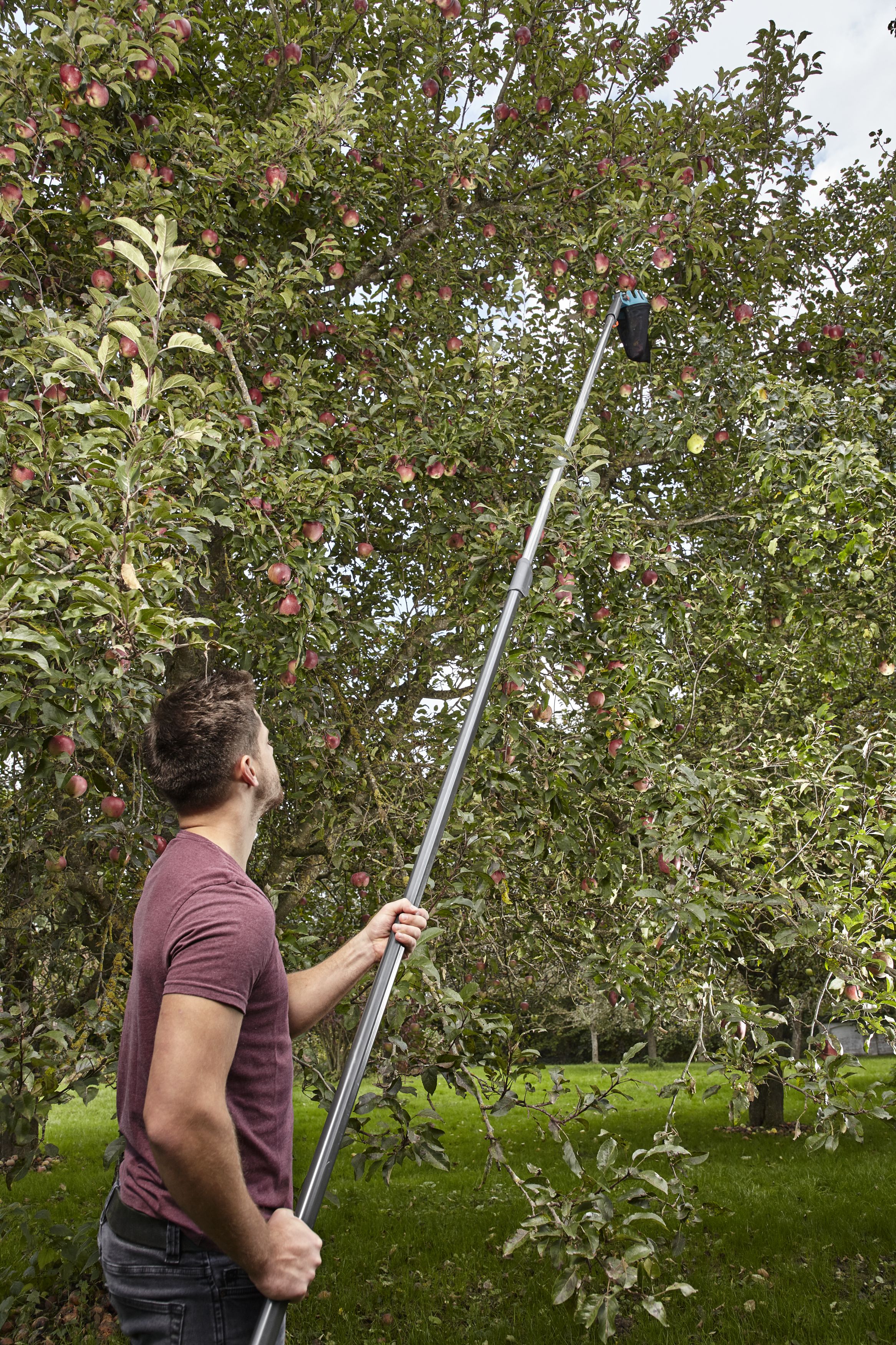 Recolector de fruta Combisystem